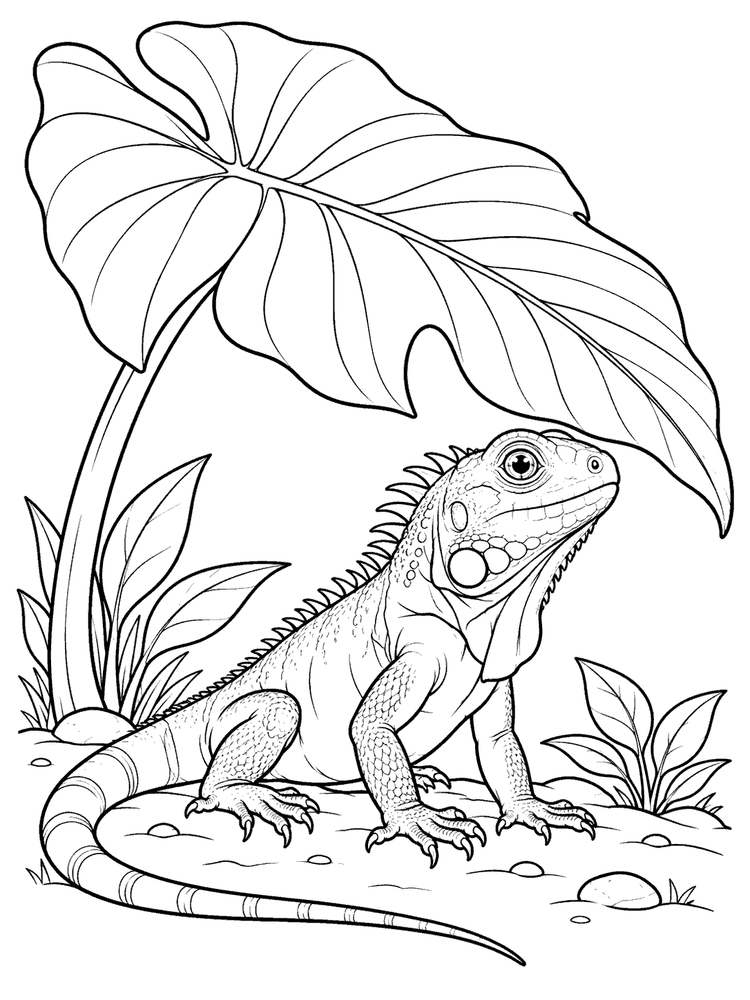 Young iguana resting beneath a broad leaf