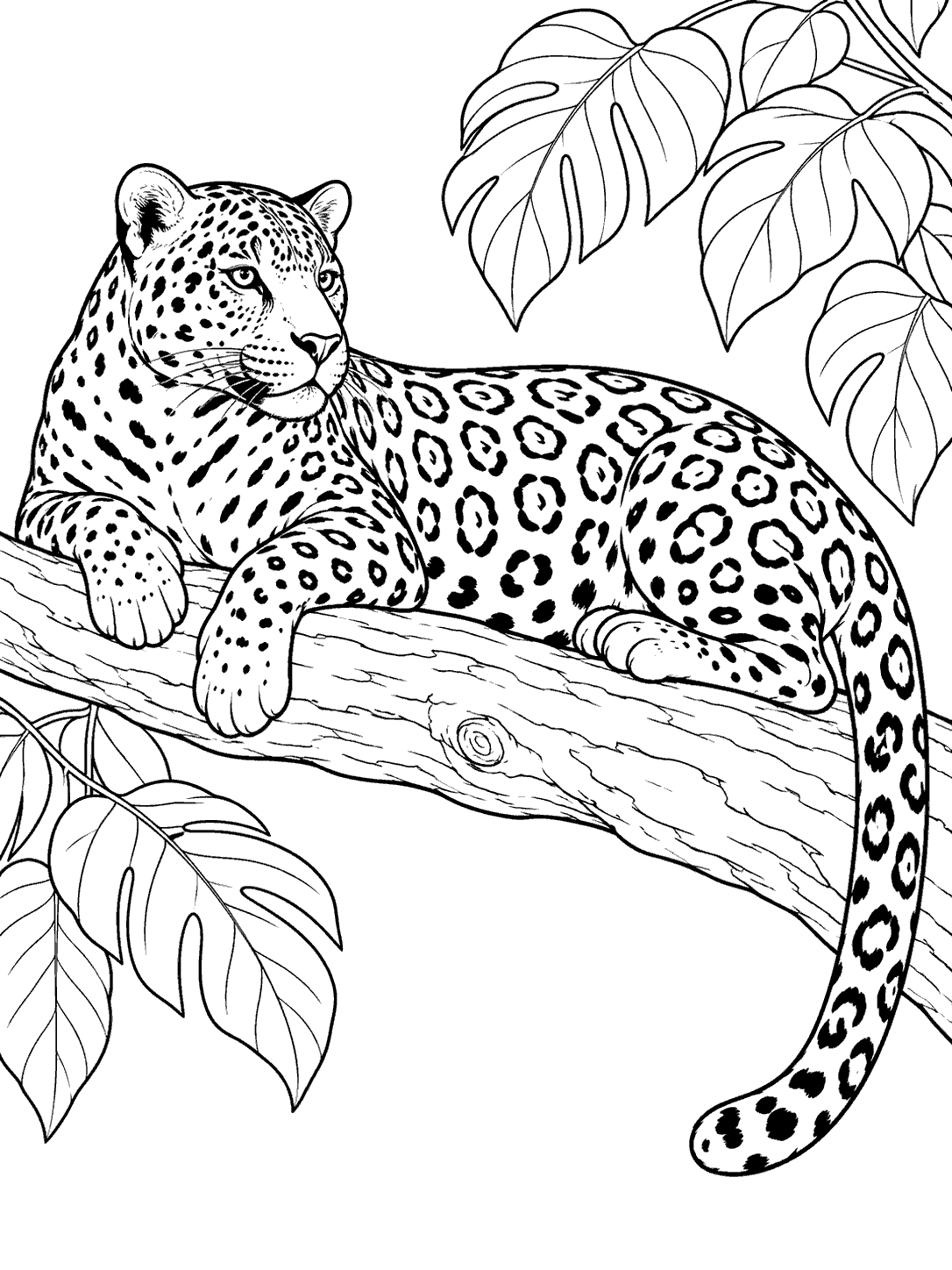 Black-outline coloring page of a resting jaguar with rosette markings on a rainforest branch beneath broad leaves