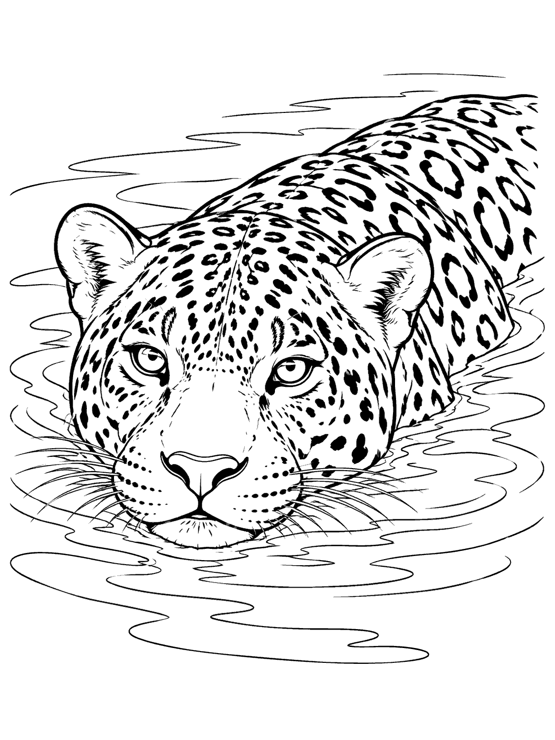 Jaguar swimming at the water’s surface, with its head and rosette-covered back visible, in a coloring page.