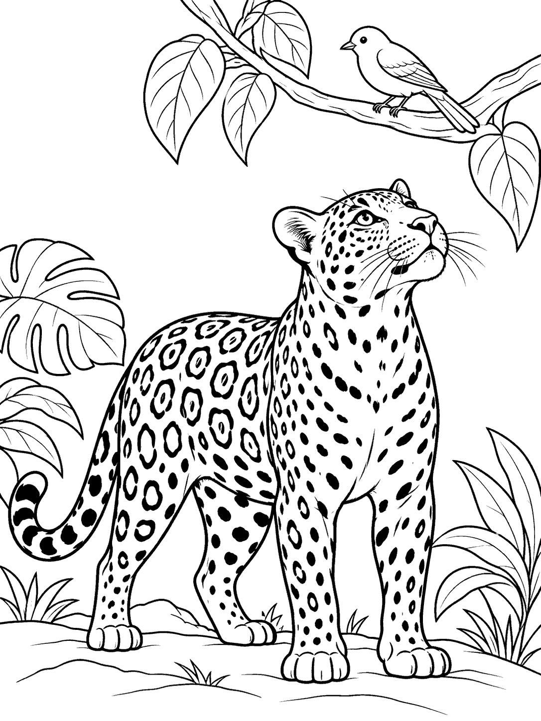 Jaguar looking at a bird on a branch in a rainforest coloring page