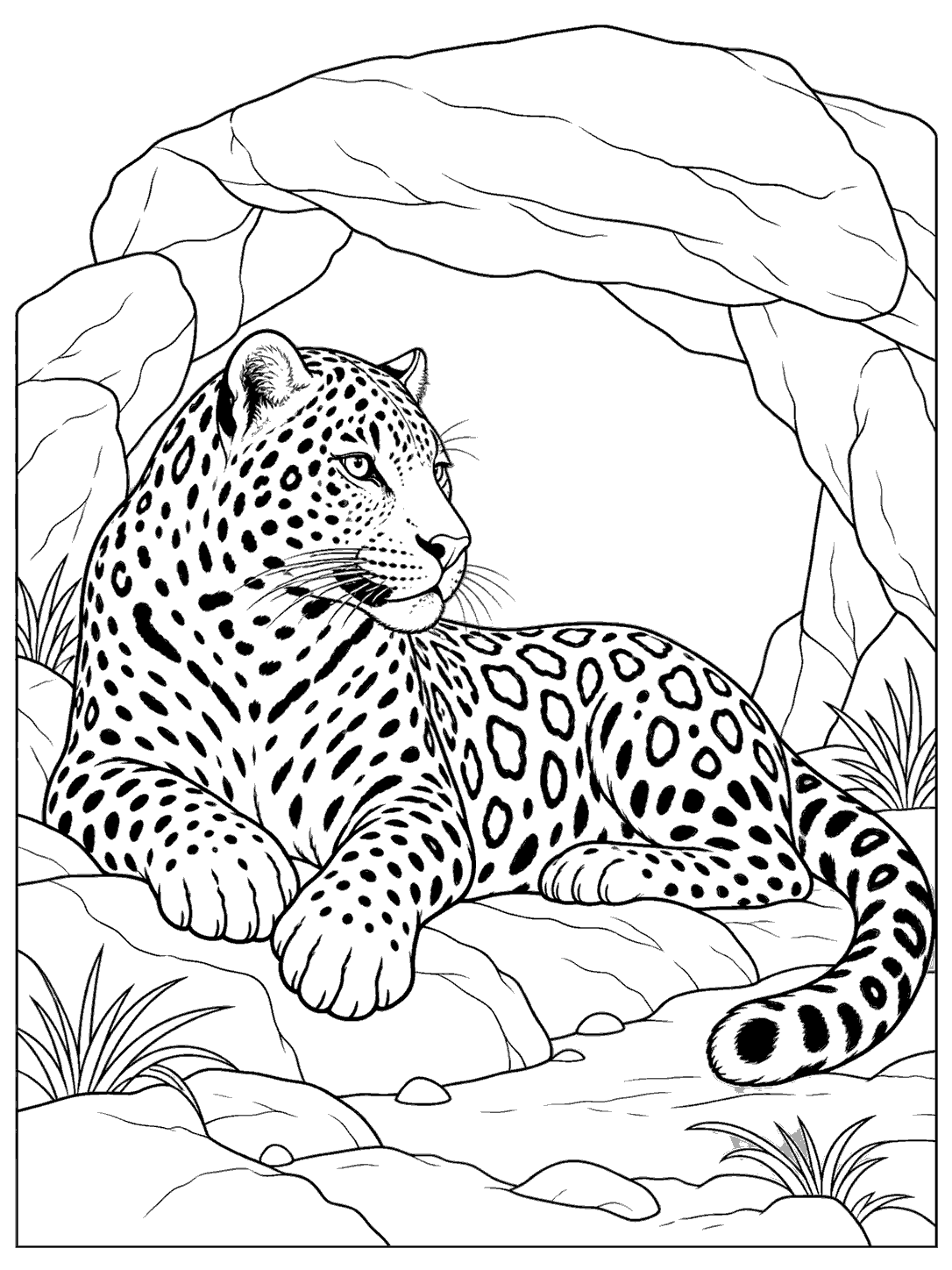 Black-outline coloring page of a resting jaguar at a rocky shelter entrance, with visible paws, tail, and rosette pattern