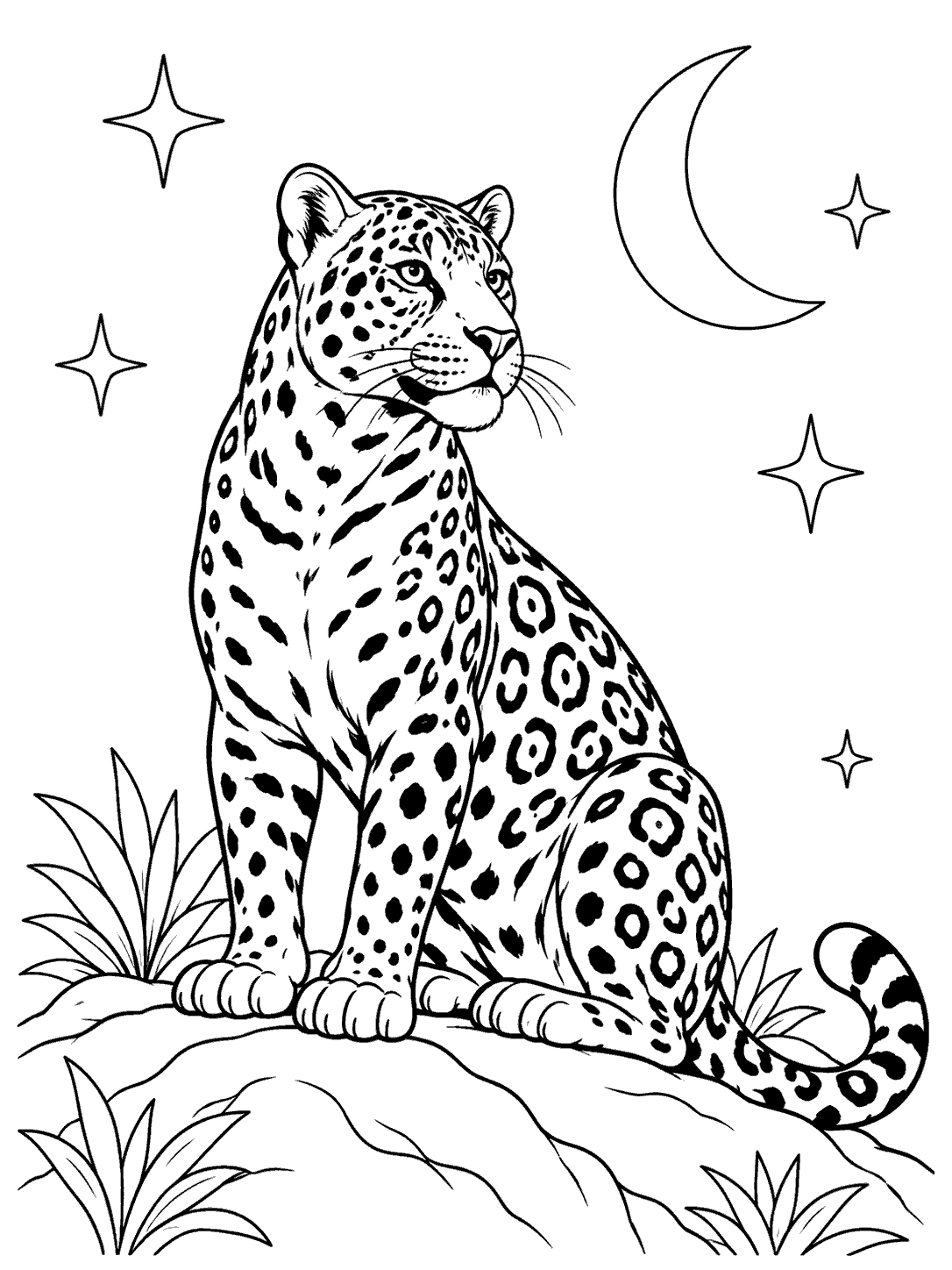 Black-outline coloring page of a seated jaguar with clear rosettes, on a ridge beneath a crescent moon and stars.