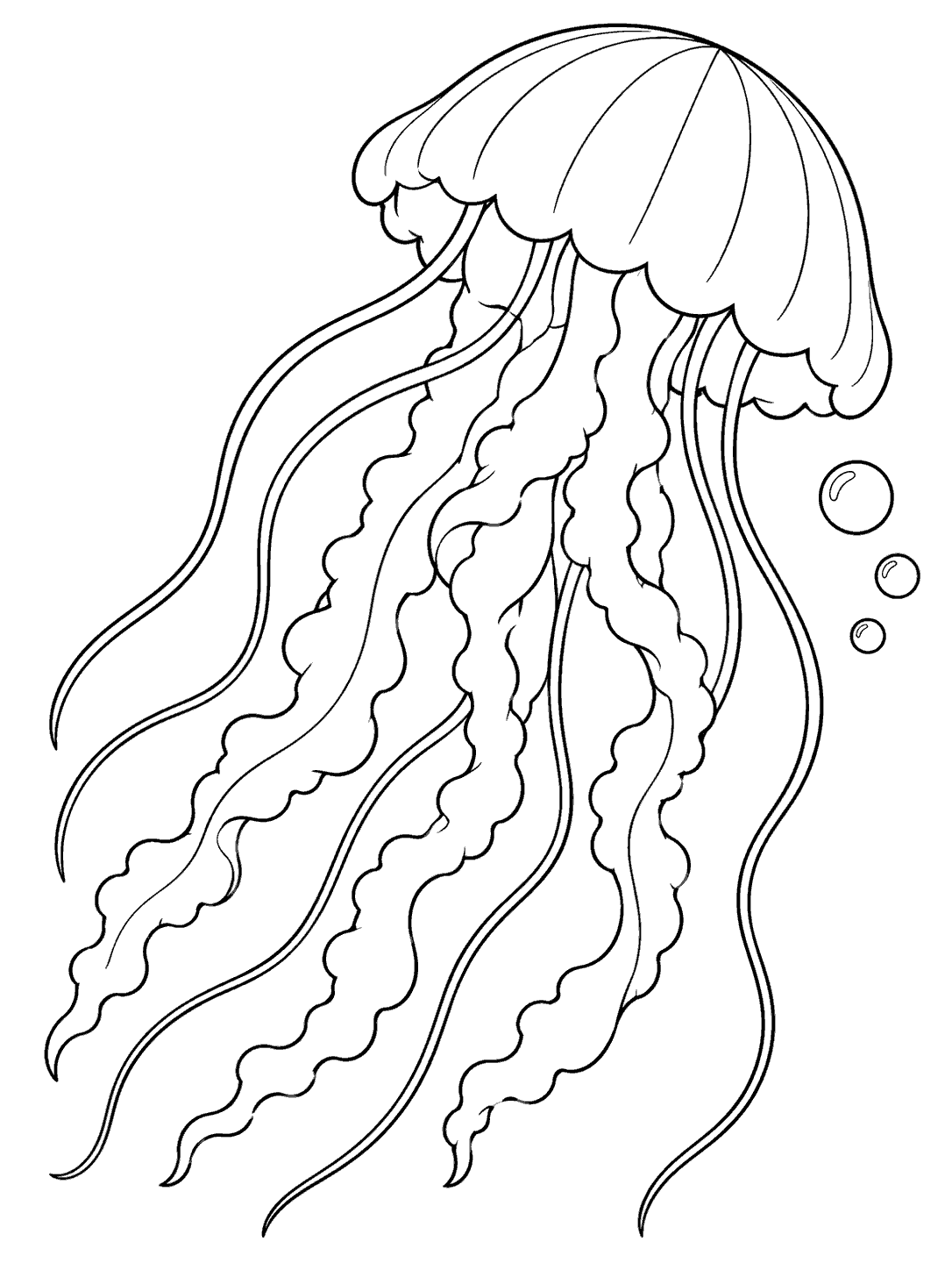 Sea nettle jellyfish with a scalloped bell, flowing tentacles, and three bubbles
