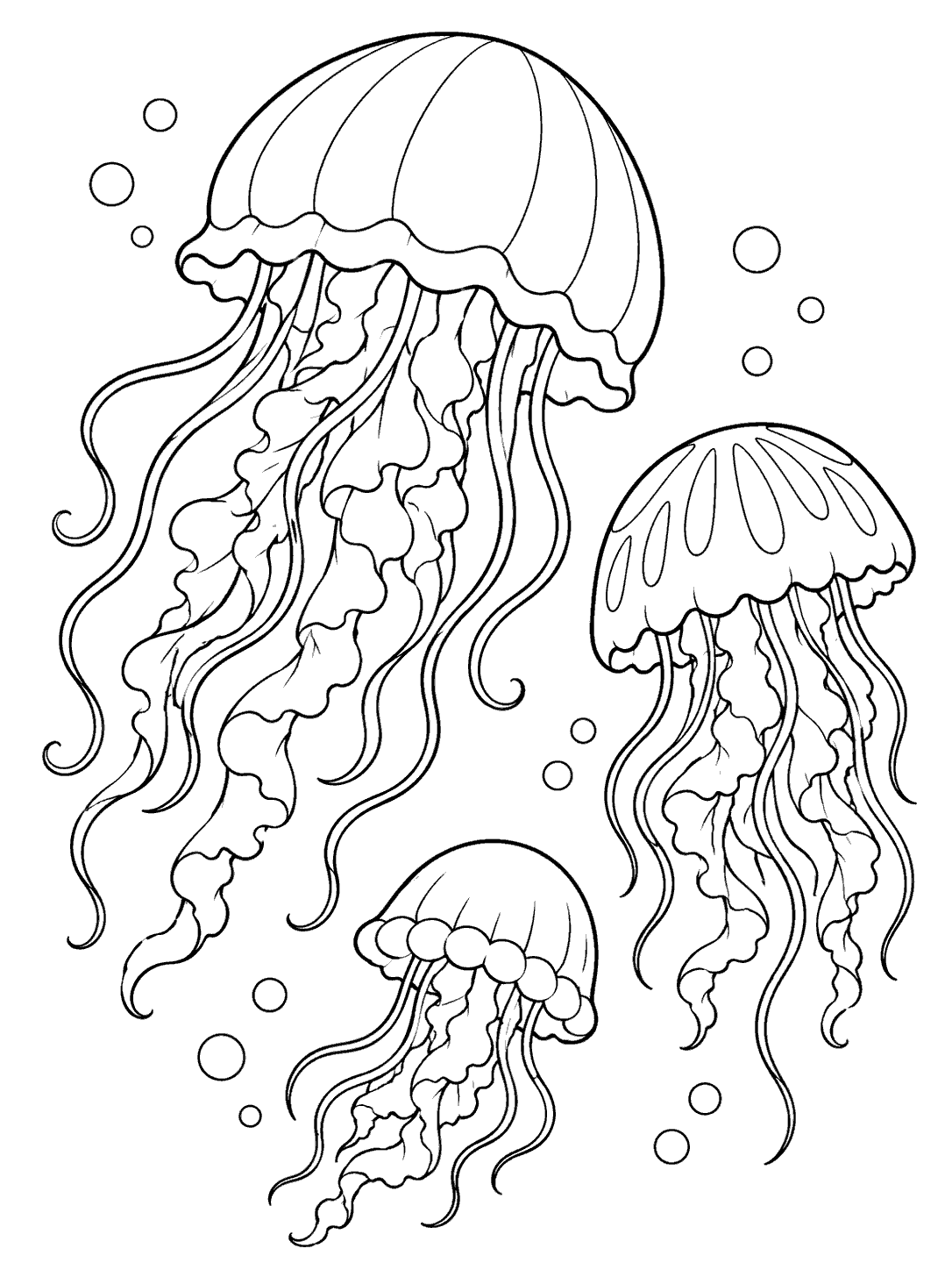 One large, one medium, and one small jellyfish with flowing tentacles and scattered bubbles, drawn in black outlines on white.