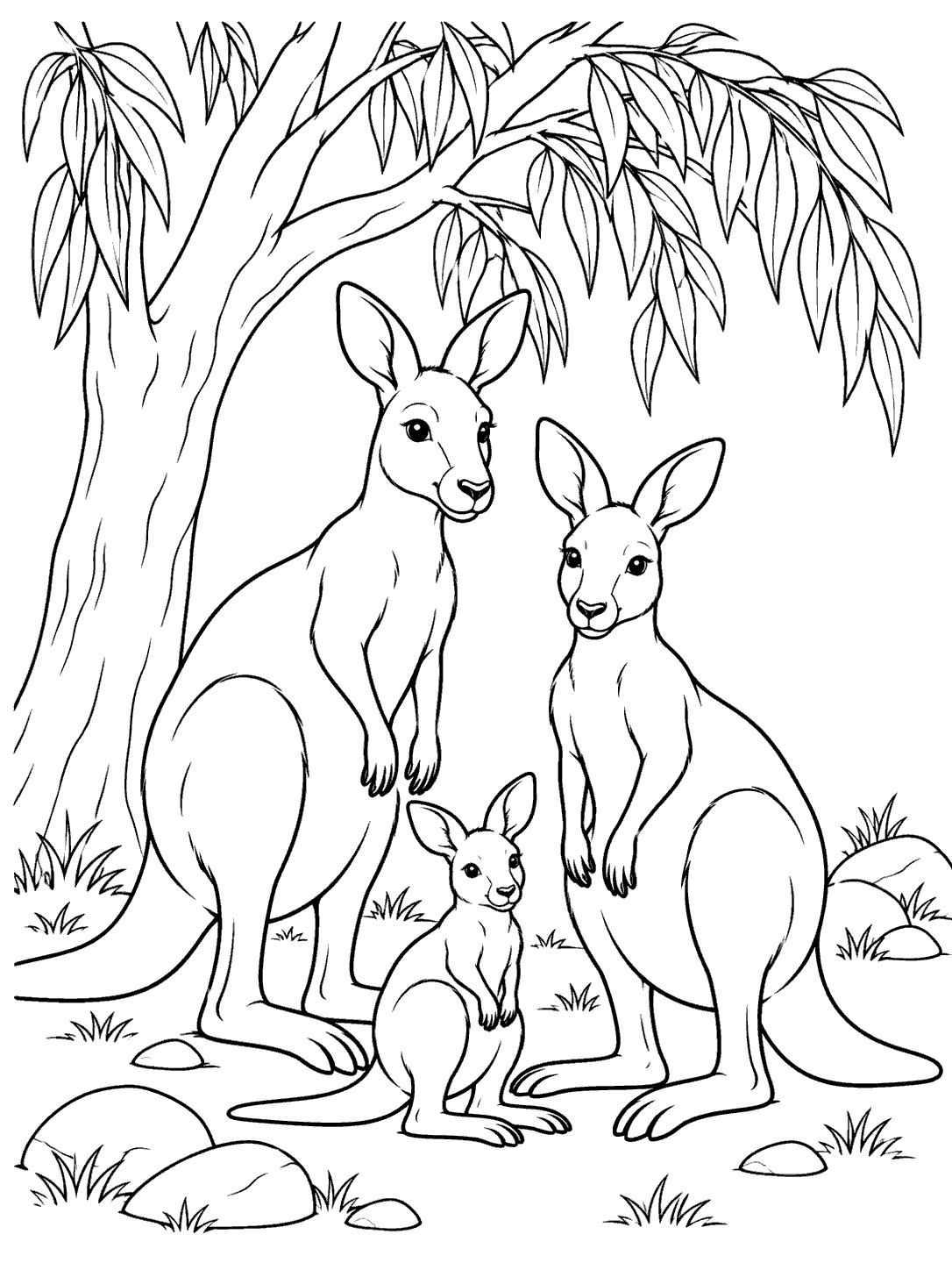 Three kangaroos beneath a gum tree, with rocks and grass, in a coloring page.