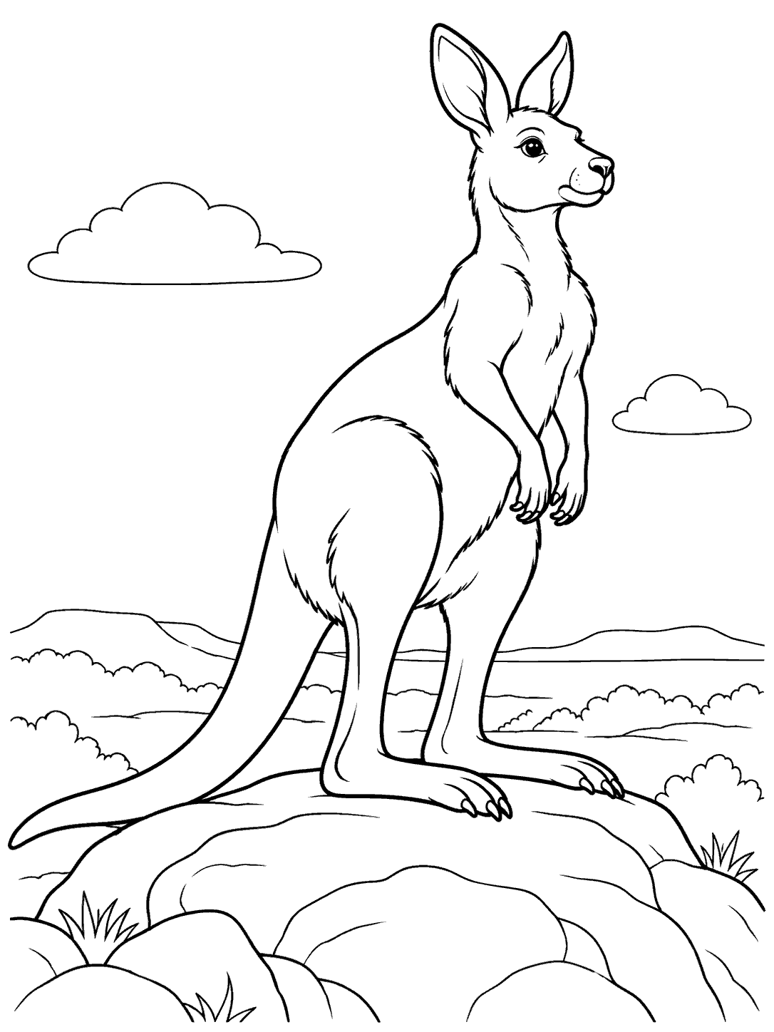 Black-and-white coloring page of a kangaroo standing on a rocky outcrop with a long tail, distant horizon, and two clouds.