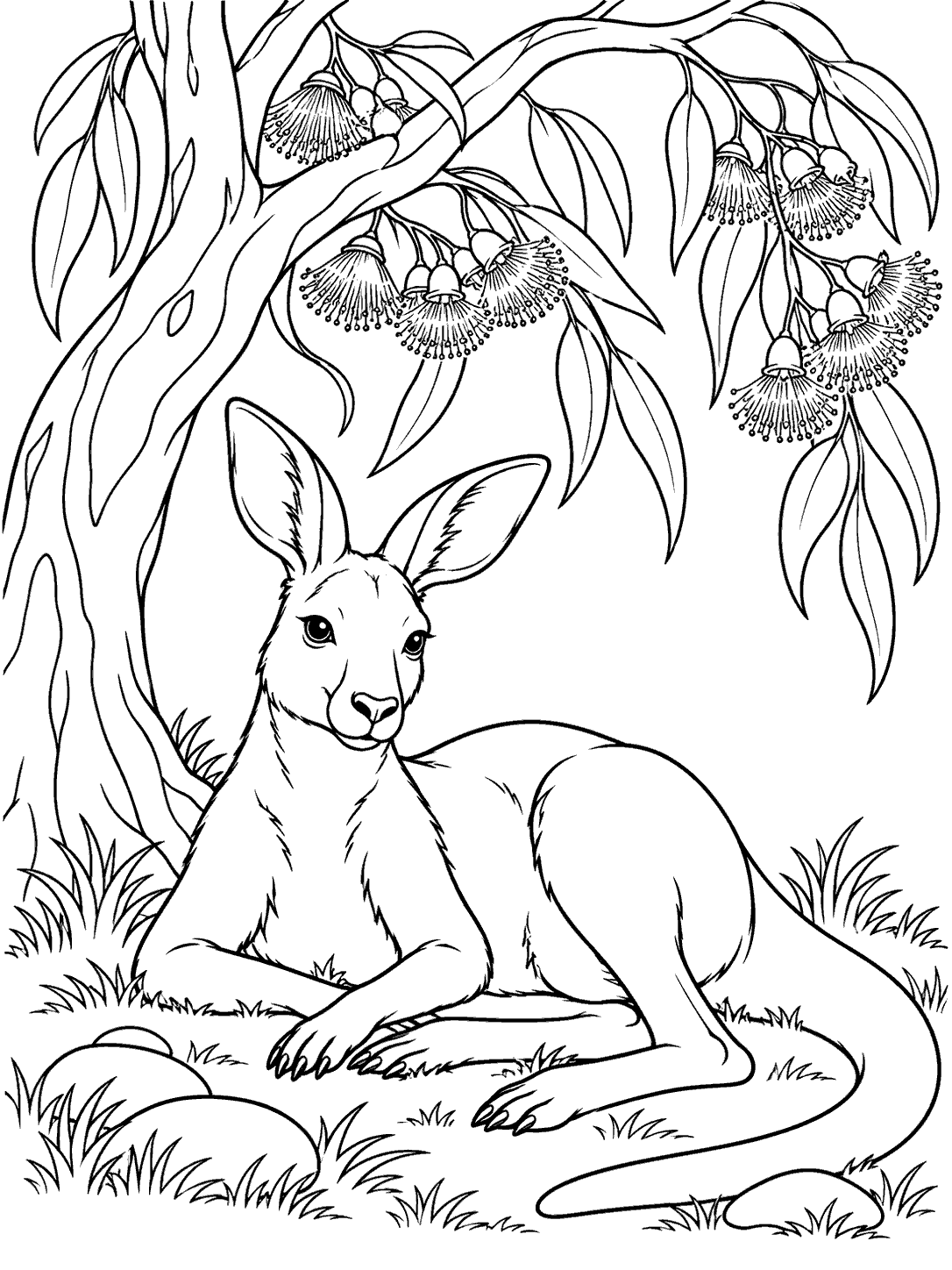 Kangaroo resting beneath a flowering gum tree on a black-and-white coloring page