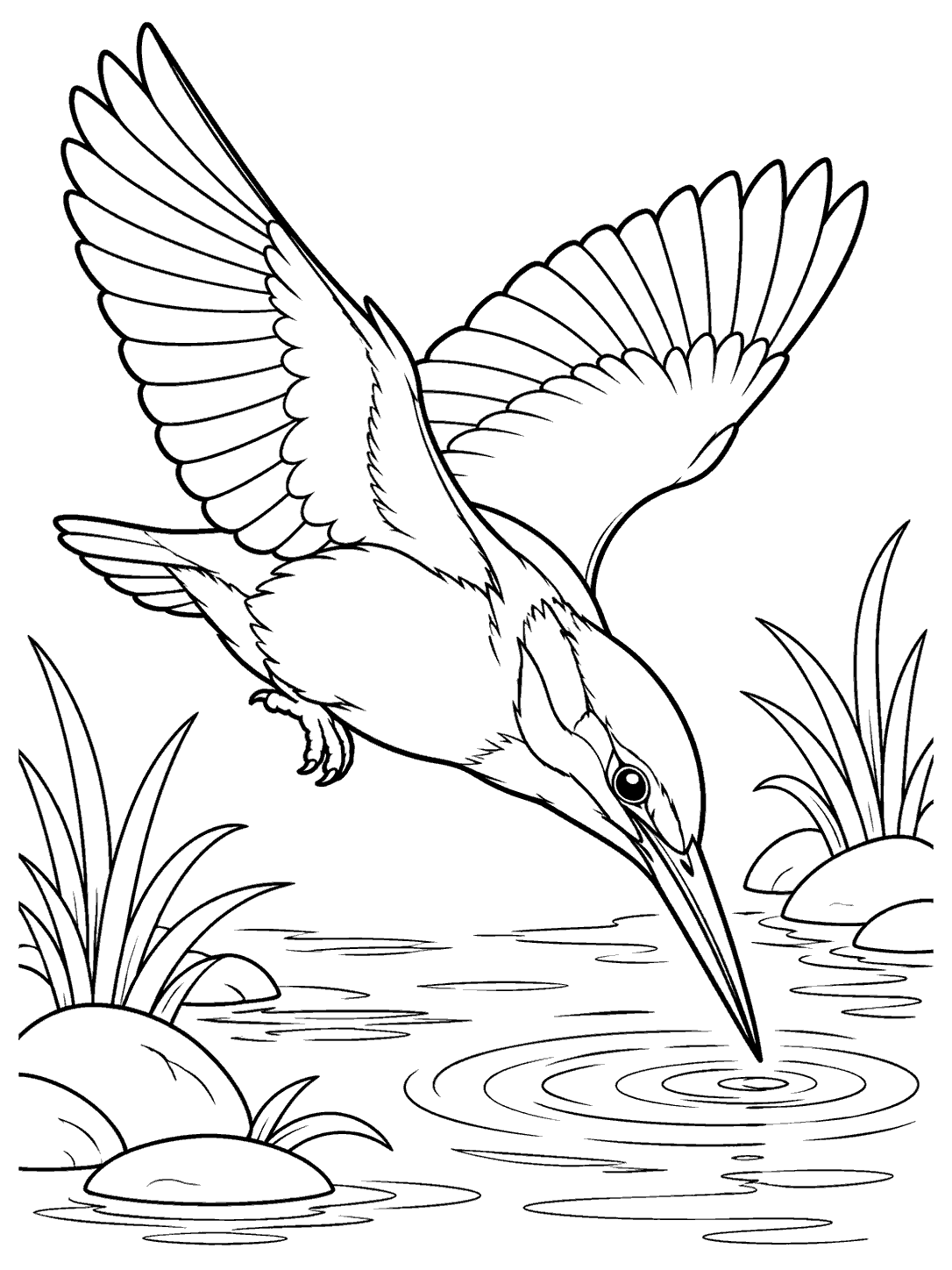 Black outline of a kingfisher diving toward ripples in a printable coloring page, with reeds and rocks along the water.