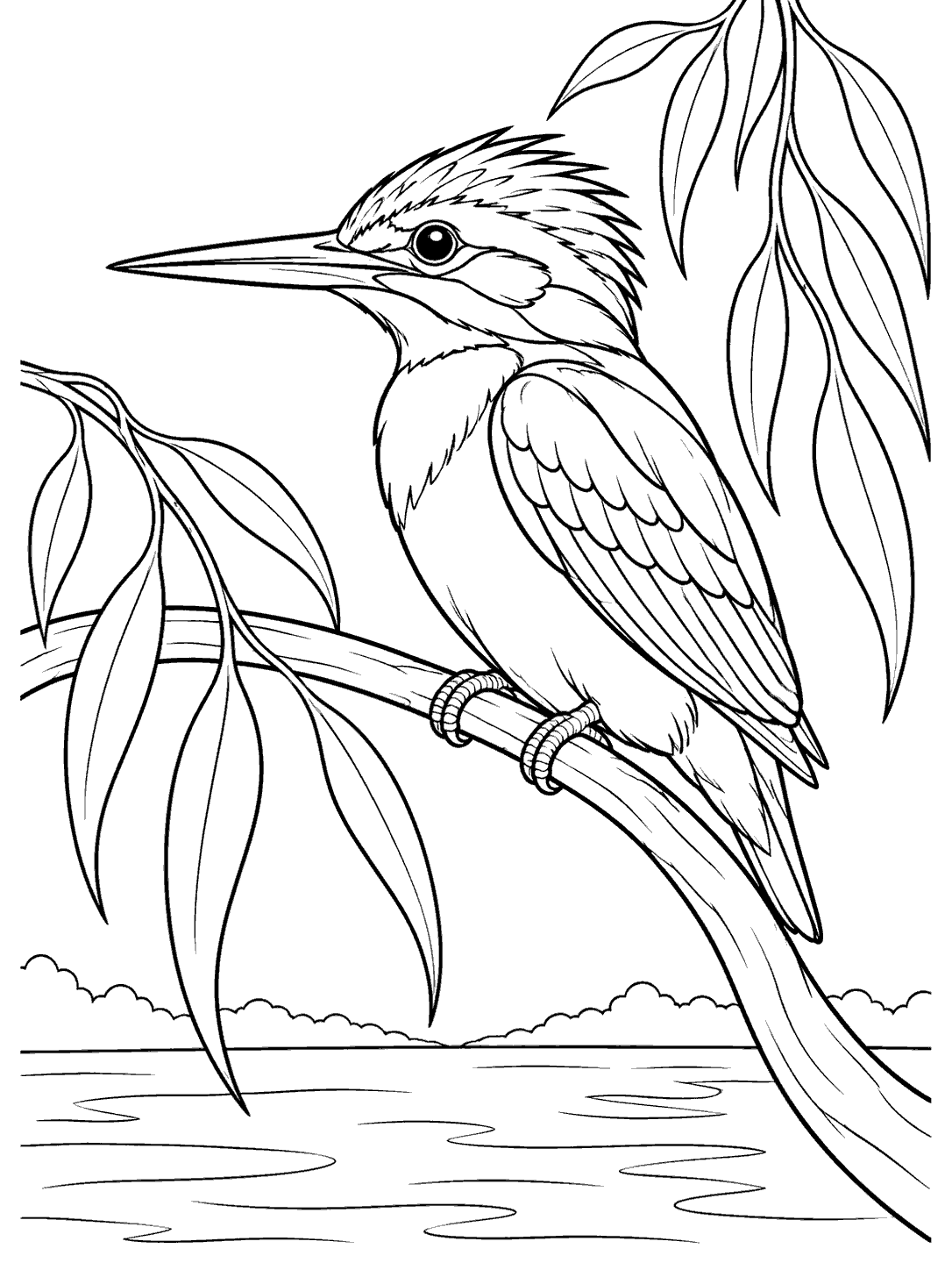 Kingfisher on a curved willow branch in a printable coloring page