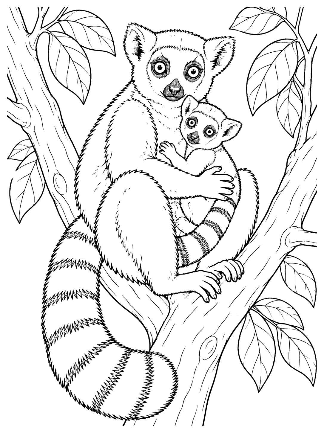 Adult lemur holding a baby in a leafy tree