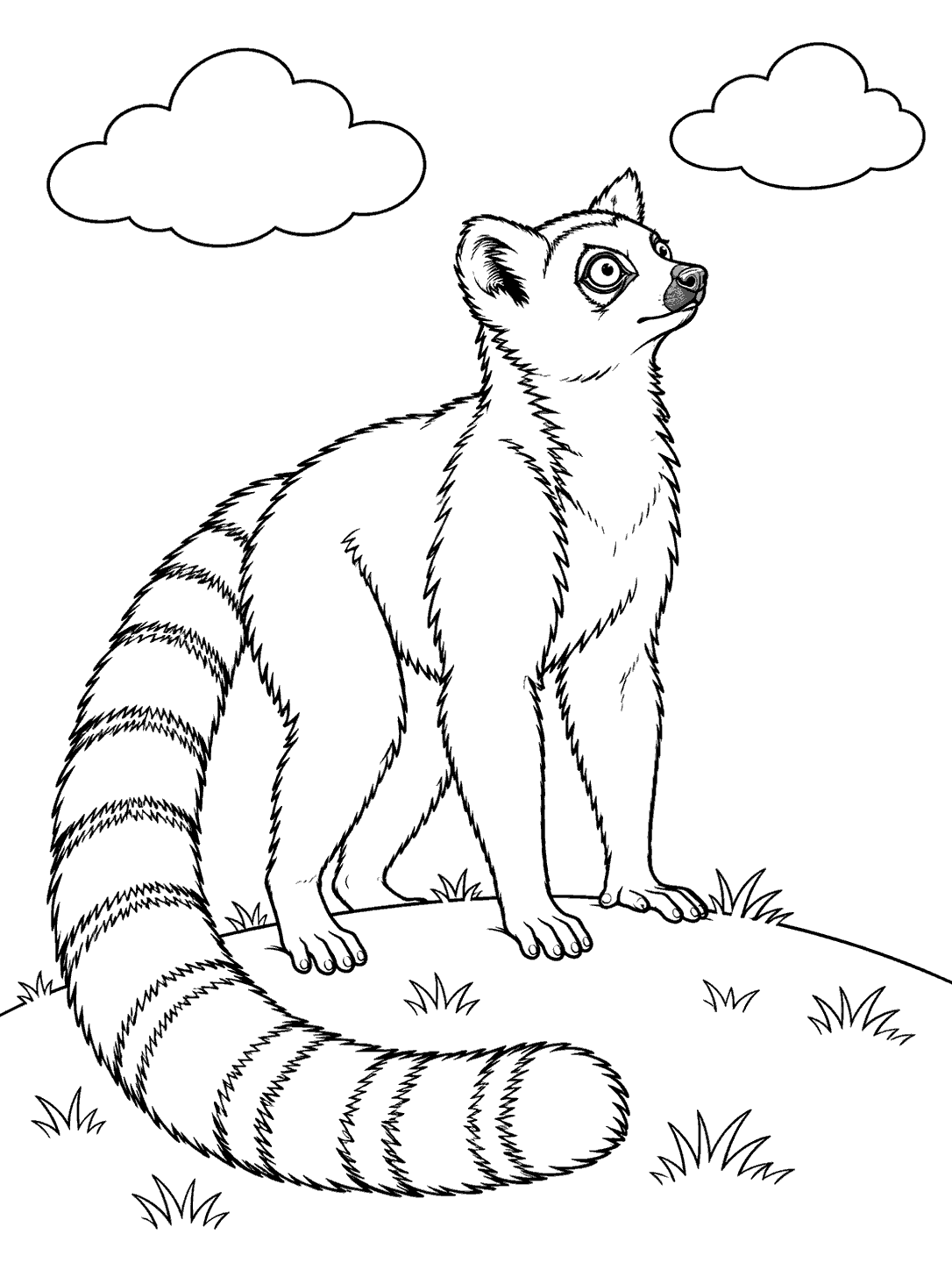 A long-tailed lemur standing on a grassy hill and looking toward two clouds