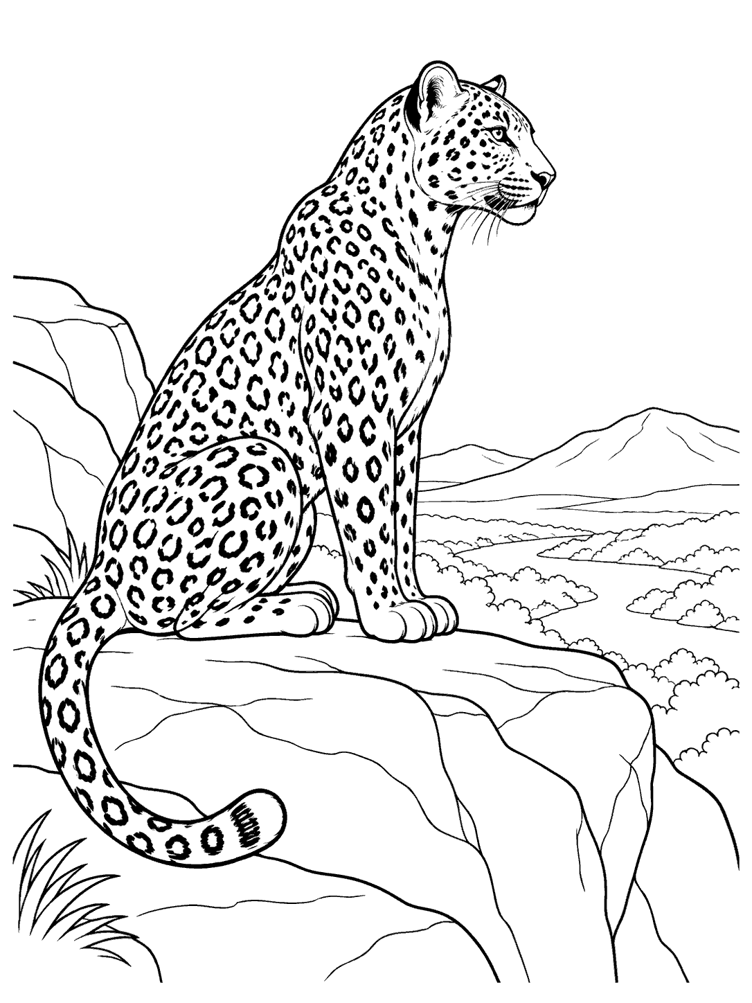 Side view of a seated leopard with a curled tail on a rocky ledge above a valley.