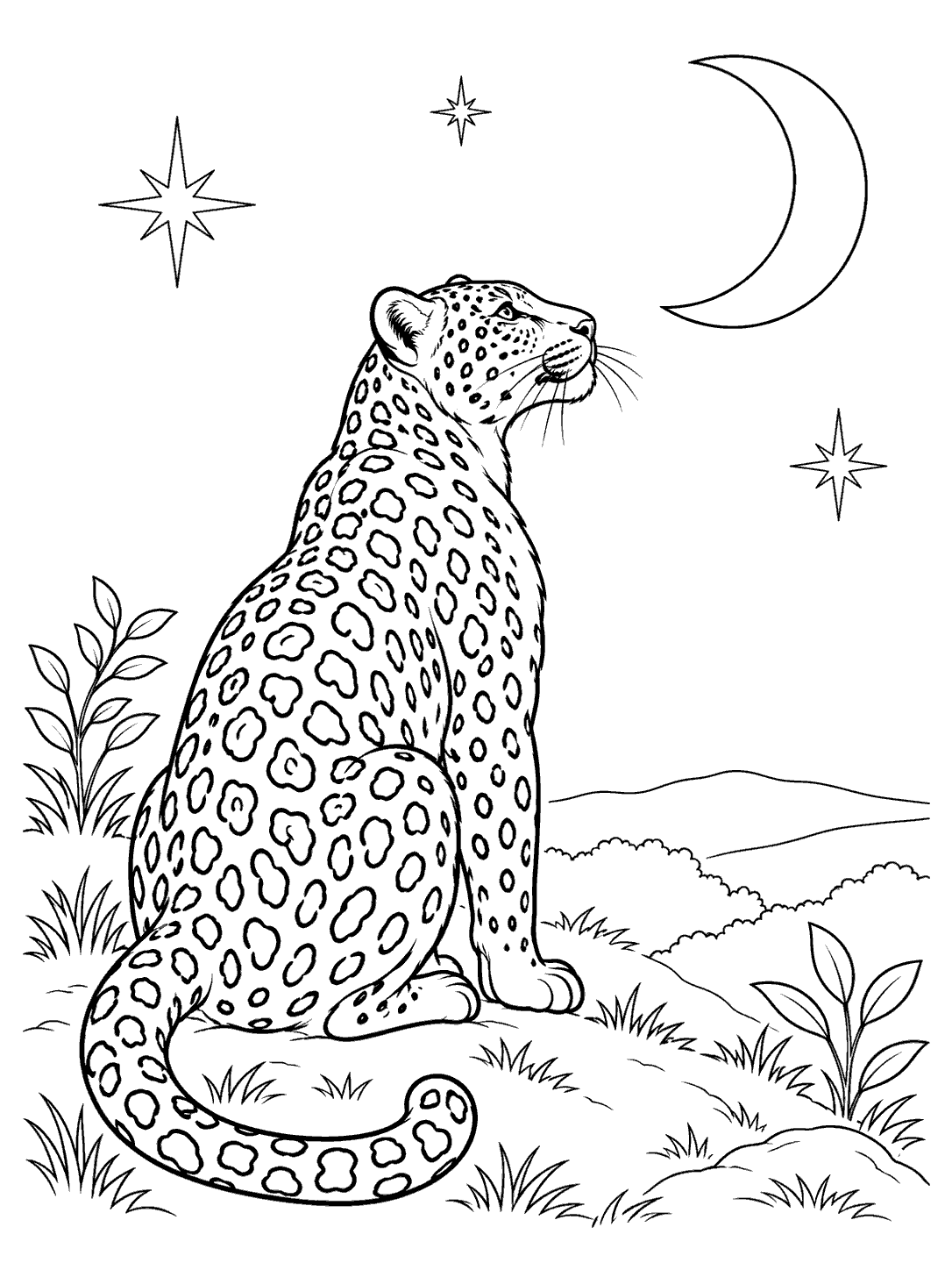 Black-and-white coloring page of a seated, spotted leopard looking toward a crescent moon and stars, with plants on a grassy rise.