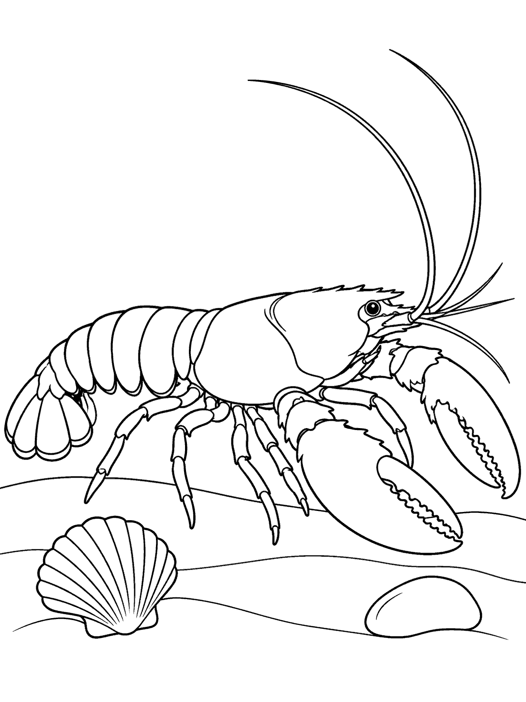 Black-and-white coloring page showing a side-view lobster with segmented tail, antennae, claws, and legs walking past a shell and stone on a sandy seafloor.