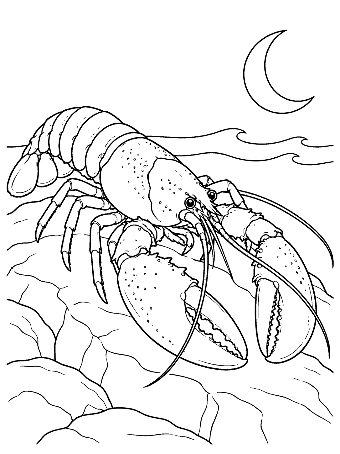 Lobster by the ocean beneath a crescent moon coloring page