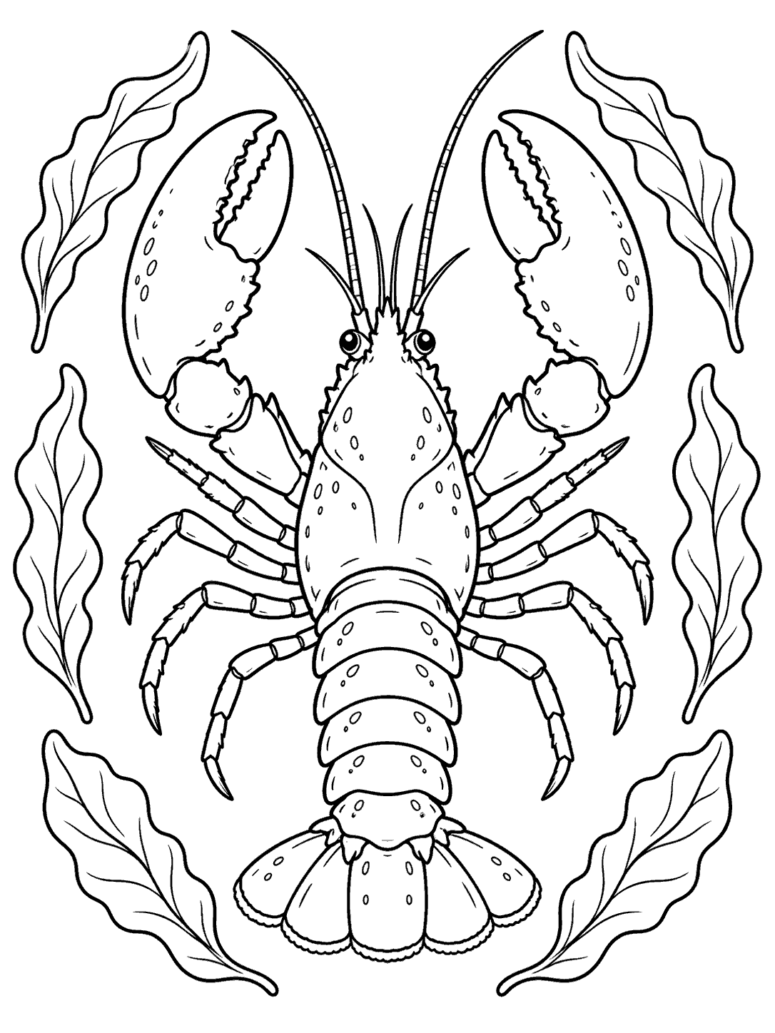Lobster framed by six seaweed leaves in a black-and-white coloring page.