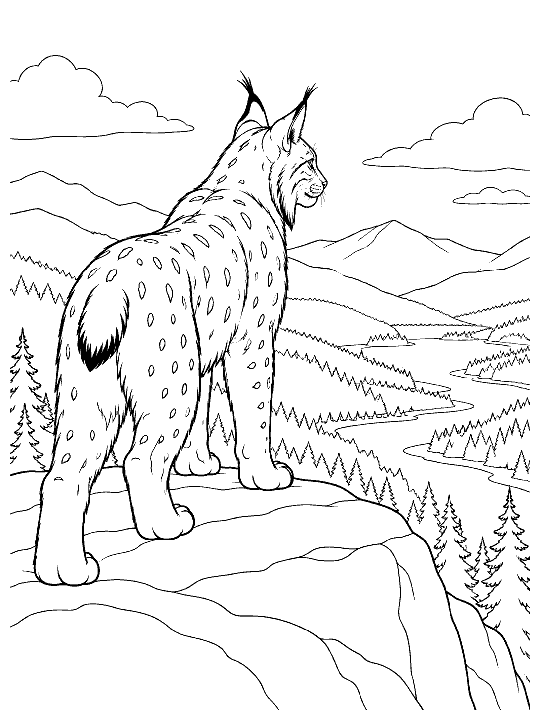Lynx surveying a valley from a ledge, with tufted ears and short tail visible