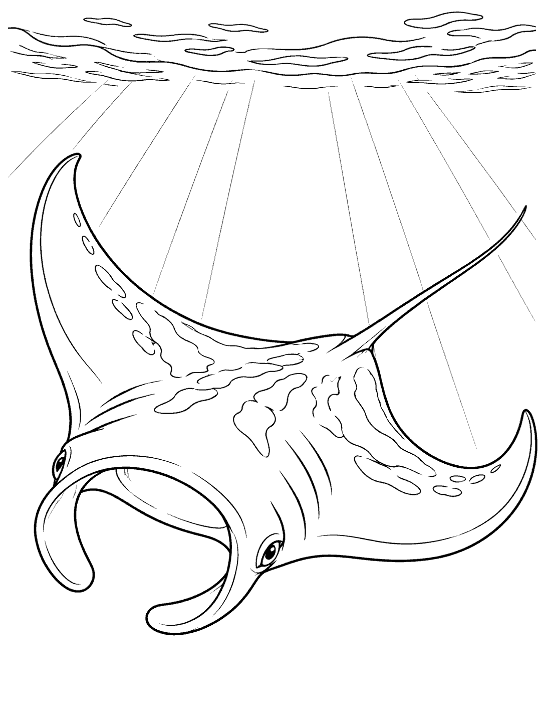 Black outline coloring page of a manta ray swimming below a rippled ocean surface with rays of sunlight.