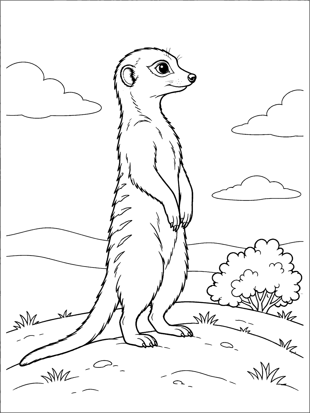 Black outline coloring page of an upright meerkat with a long tail on a gently sloping hill, with a rounded shrub and clouds.