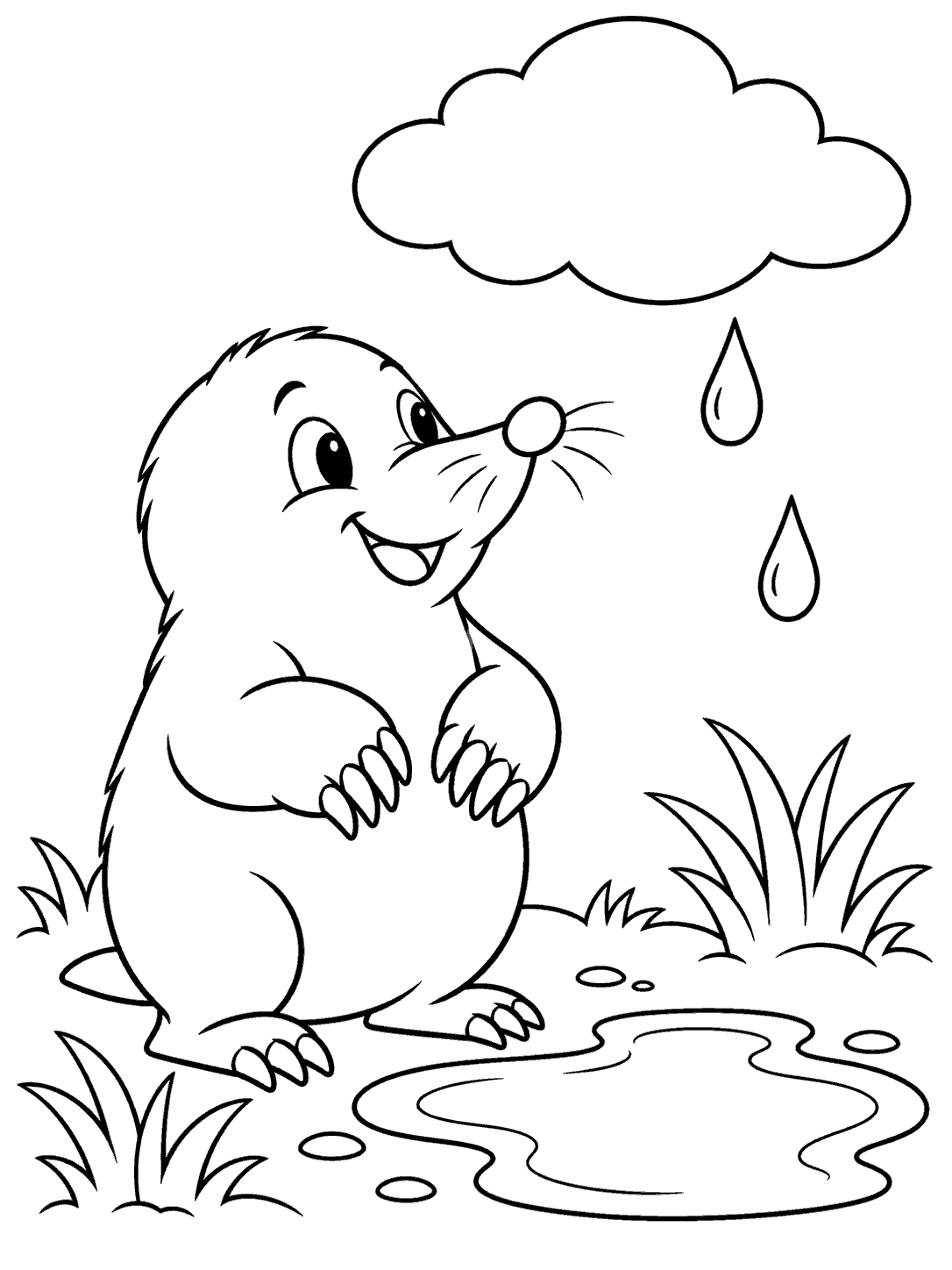 Smiling mole beside a shallow puddle beneath a cloud and two raindrops, with grass tufts.