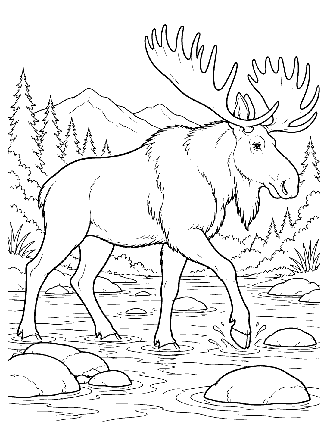Side-view moose with one front hoof lifted as it crosses a shallow, rocky stream, with trees and mountains behind it.