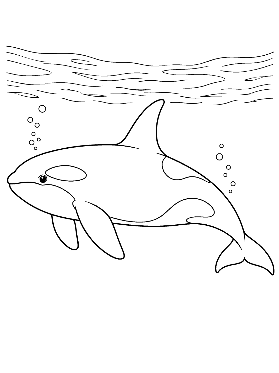 A full-bodied orca swimming side-on beneath rippled water, with bubbles and open coloring areas.