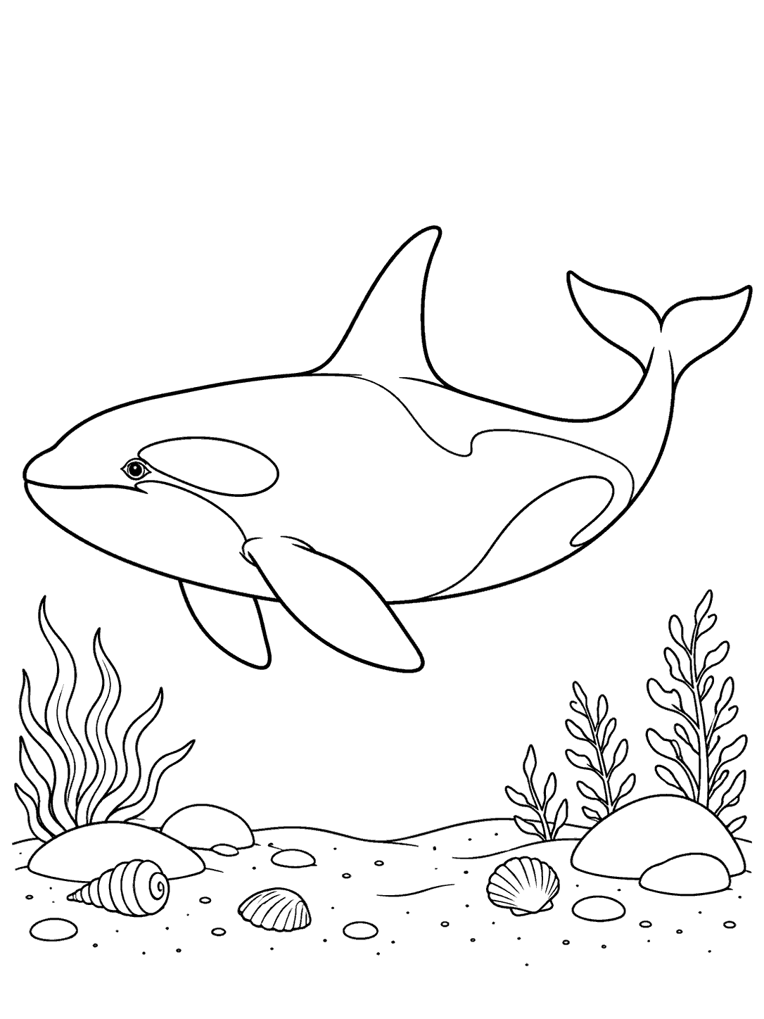 Black outline coloring page of an orca swimming over a sandy seafloor with shells, stones, and sea plants.