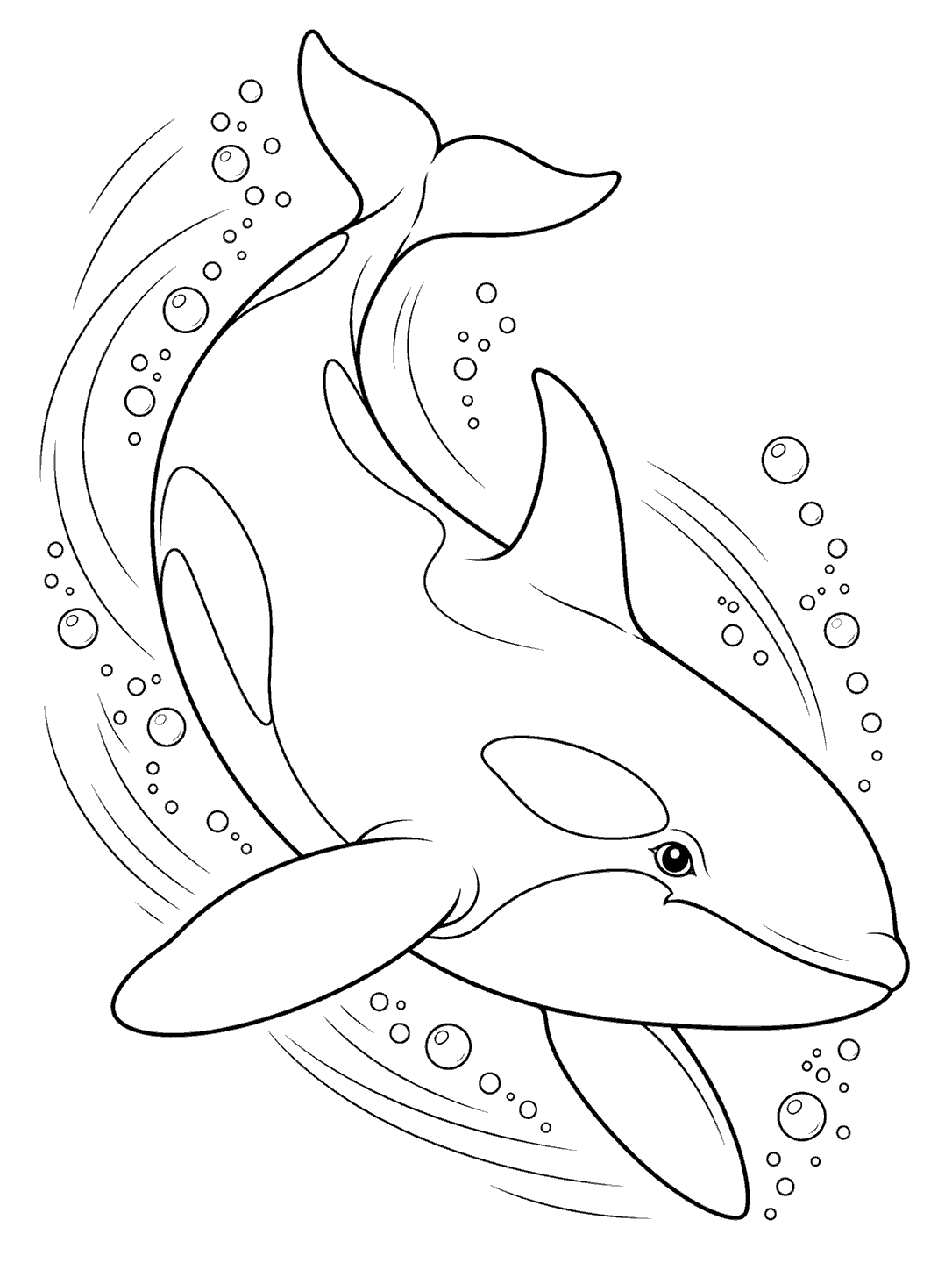 Orca banking through the water with bubbles and curved motion lines