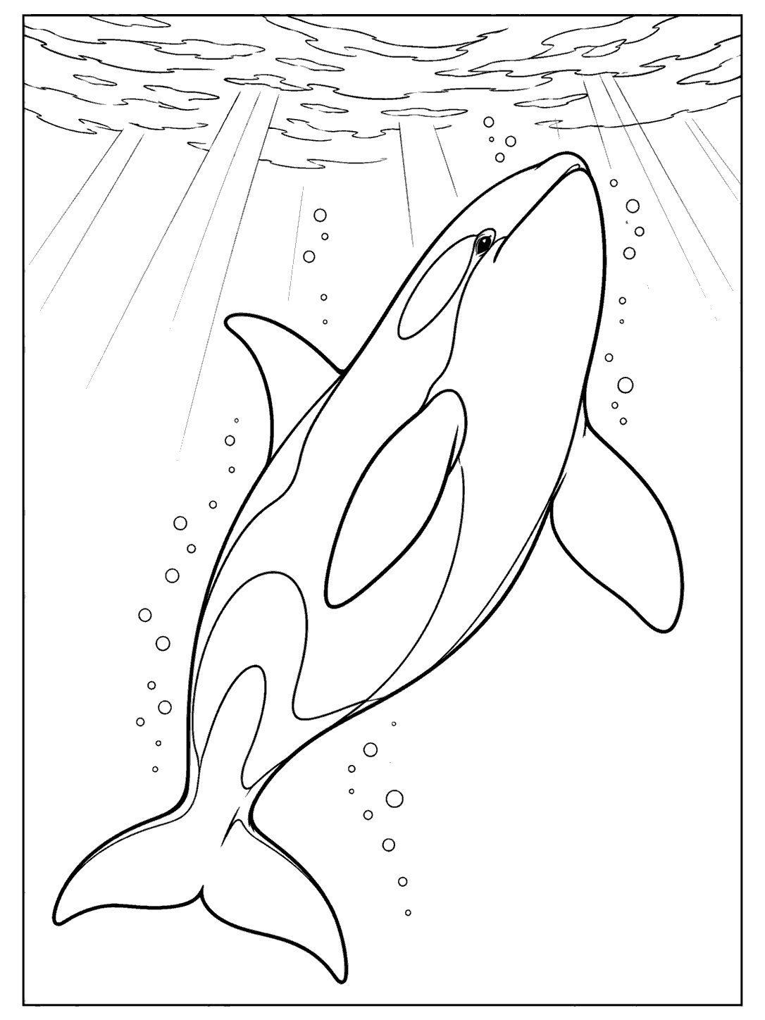 An orca swimming upward toward the surface, surrounded by bubbles and broad rays of sunlight.