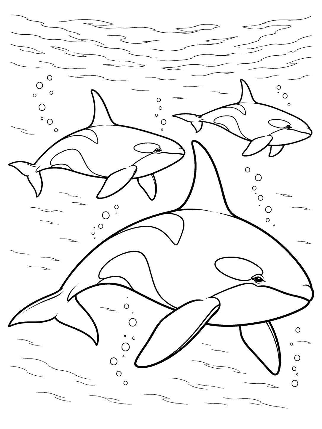 A large foreground orca swims with two smaller orcas at different distances, surrounded by open water and bubbles.