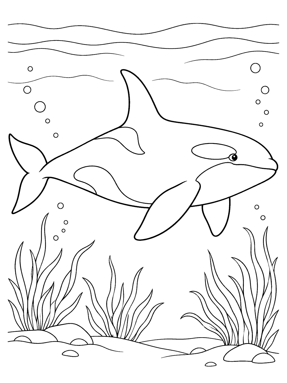 A large orca gliding horizontally above clusters of seagrass, with bubbles and gentle water lines around it.