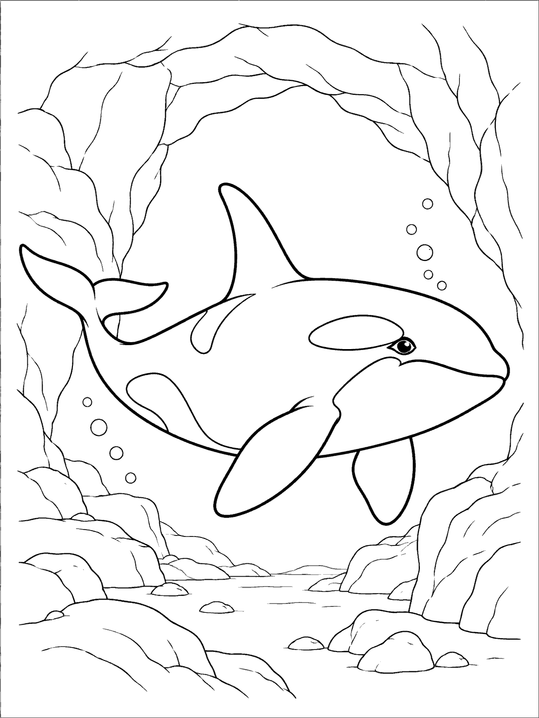 A black-and-white orca swimming in front of a wide open sea cave, with bubbles and rocky contours.