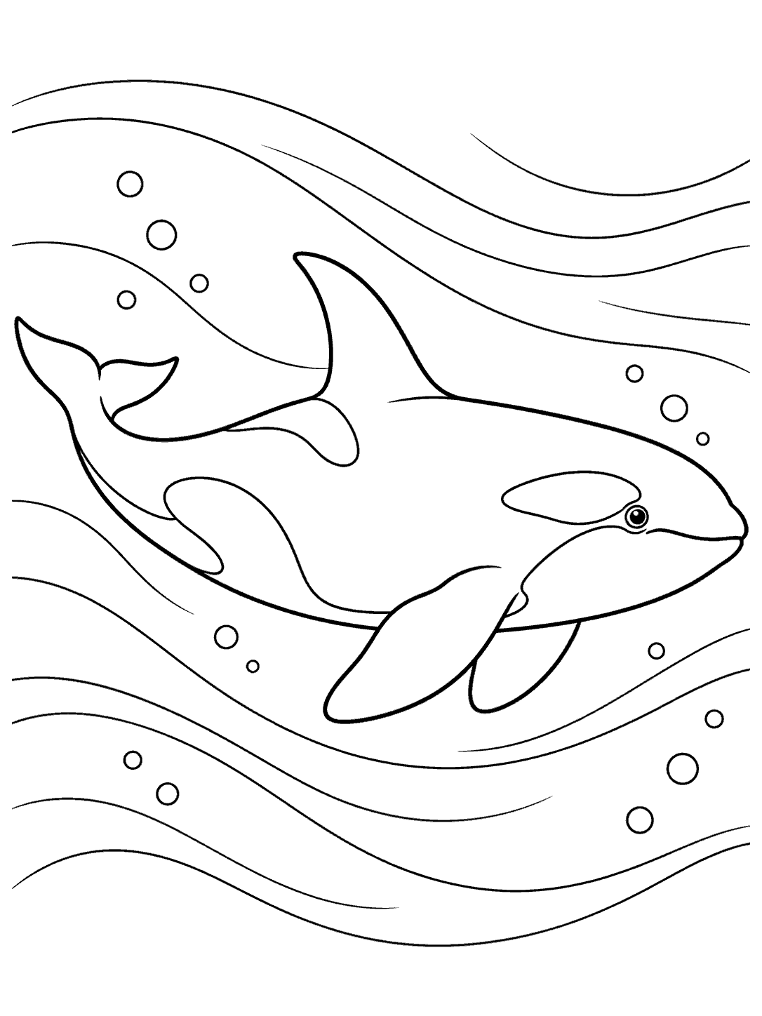 Orca swimming with sweeping ocean-current lines