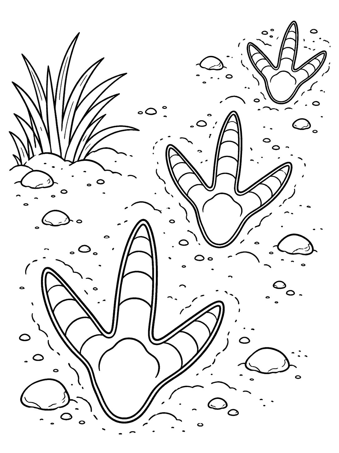 Large three-toed ostrich footprints crossing sandy ground with grass and small stones