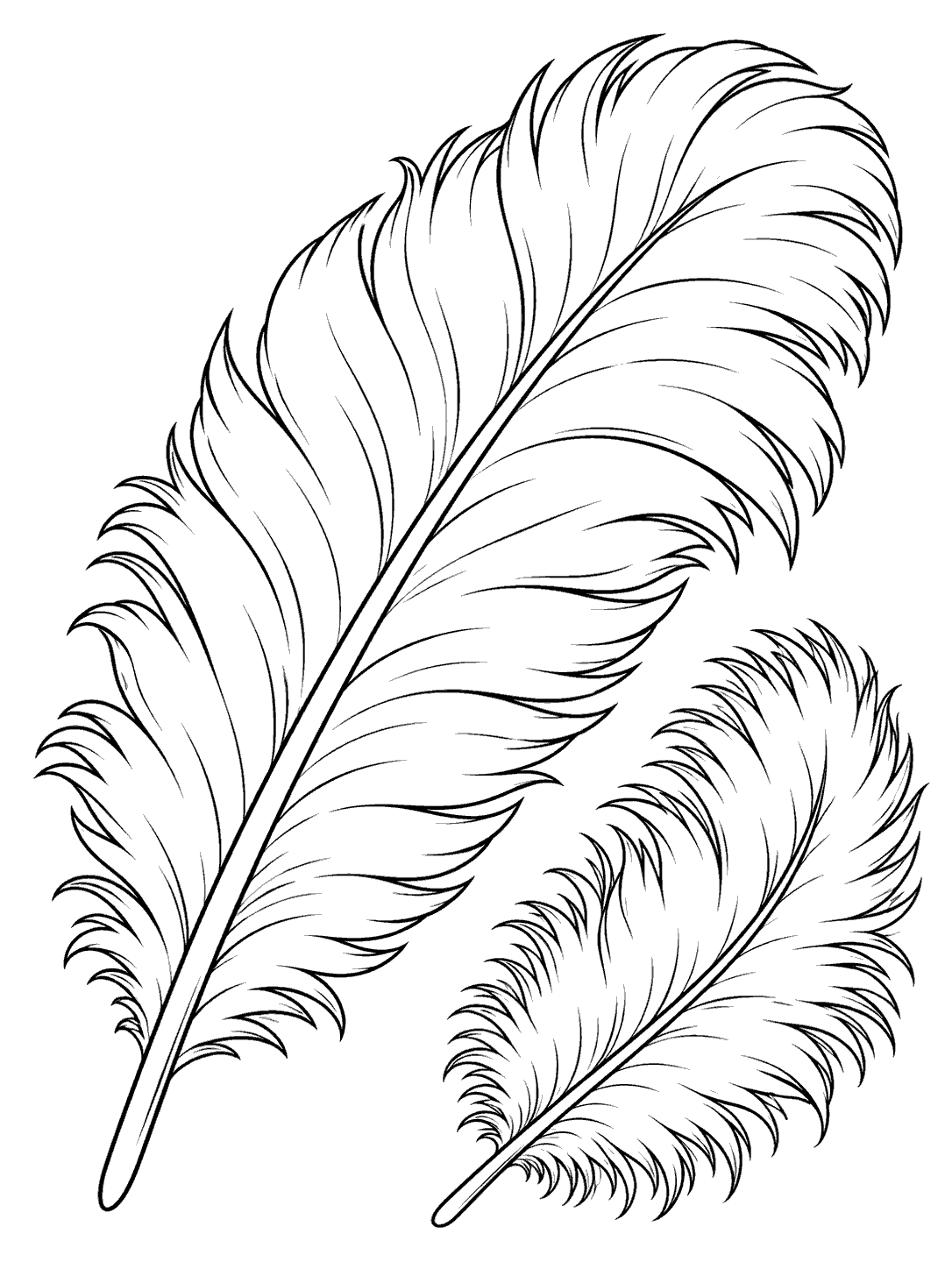 Two diagonally arranged ostrich feathers, one broad and one smaller, outlined in black on white.