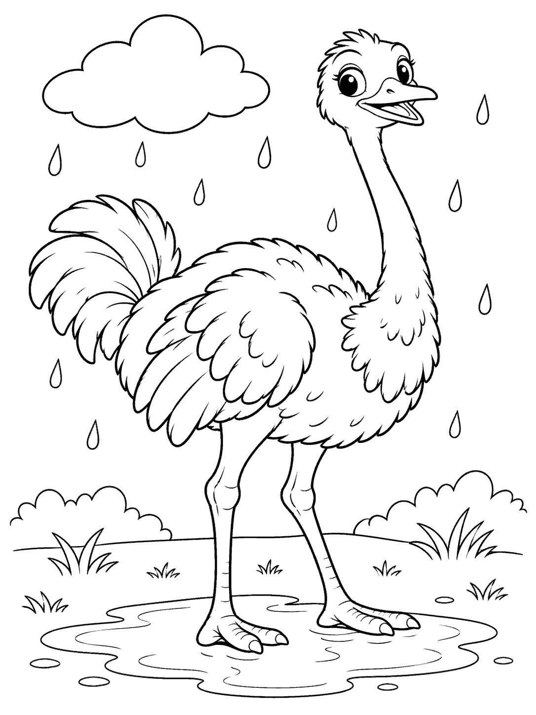 A large, fluffy ostrich stands in a puddle beneath a cloud and scattered raindrops, with grass along the ground.