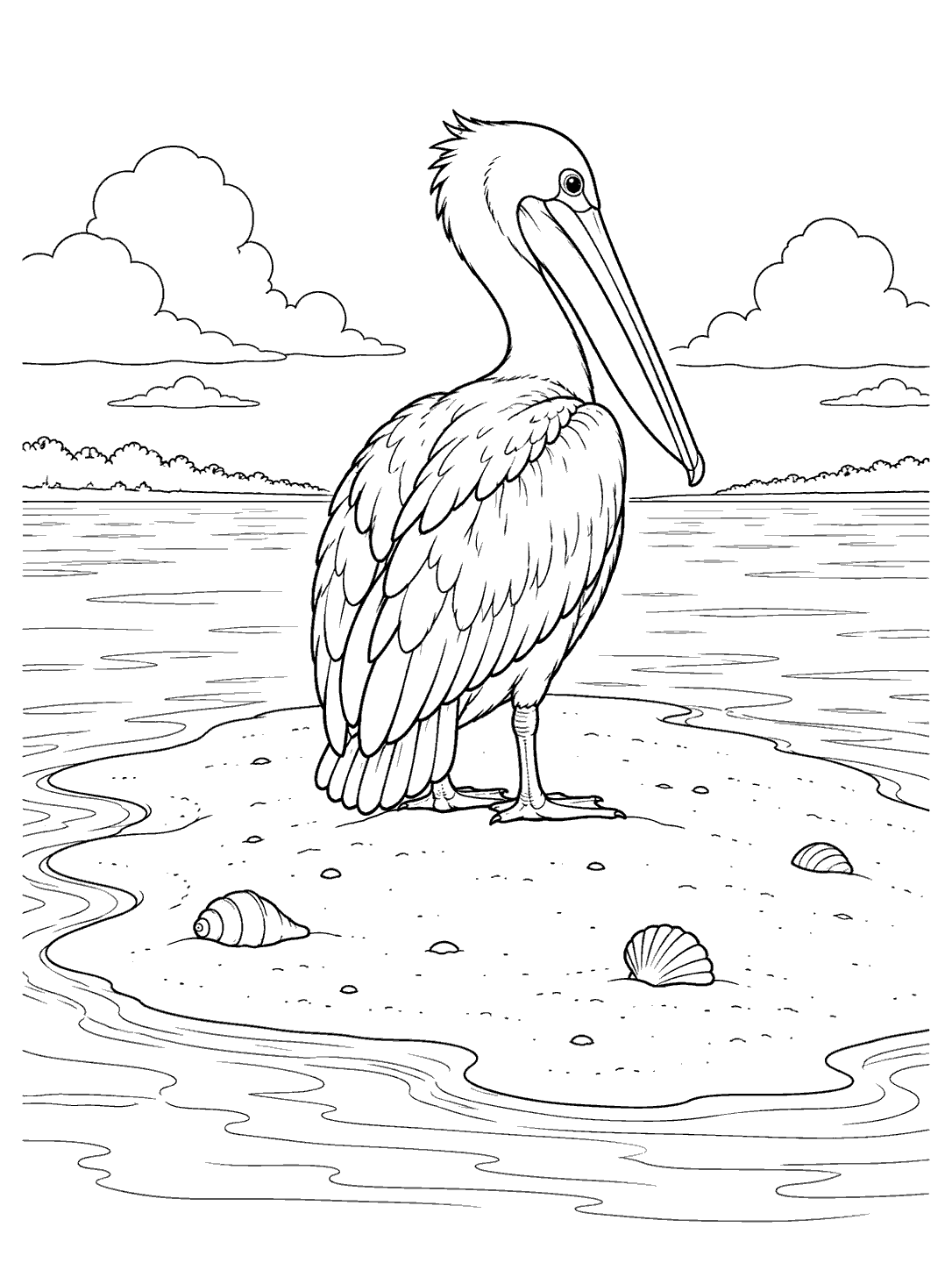 Detailed pelican standing on a sandbar surrounded by calm water and shells