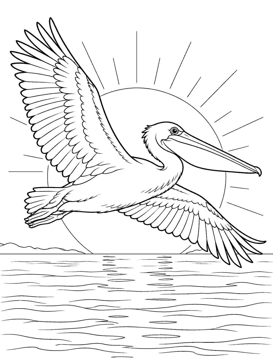 Black-outline coloring page of a pelican flying in front of a low sun over calm water