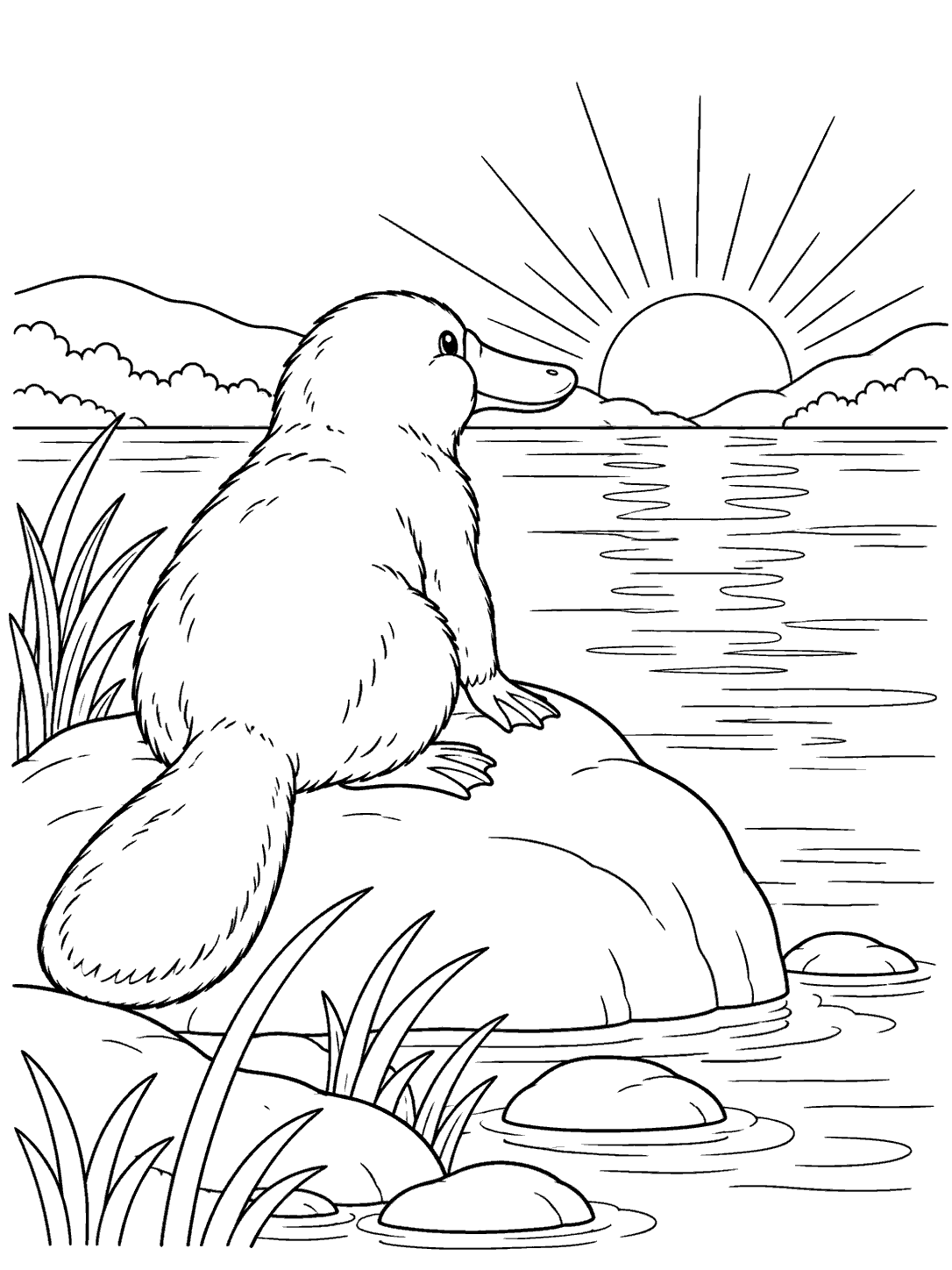A platypus sits on a rock at the water’s edge, facing a rising sun over distant hills.
