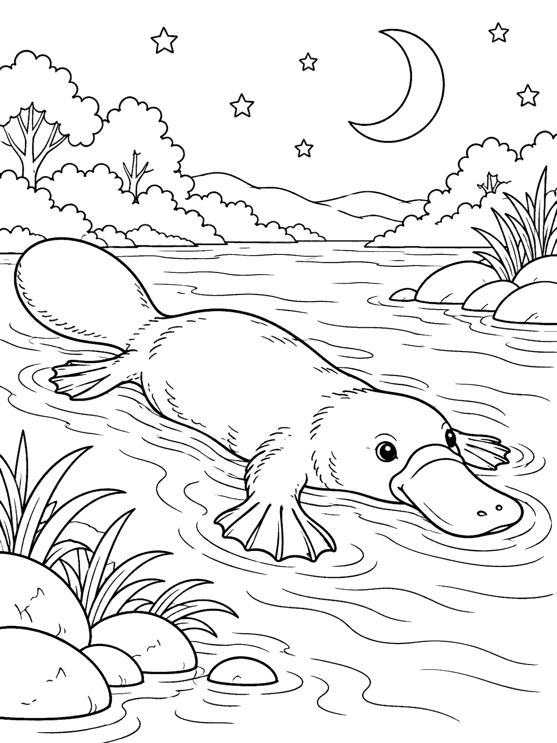 Black outline coloring page of a platypus swimming in a river beneath a crescent moon, stars, and tree-lined banks.