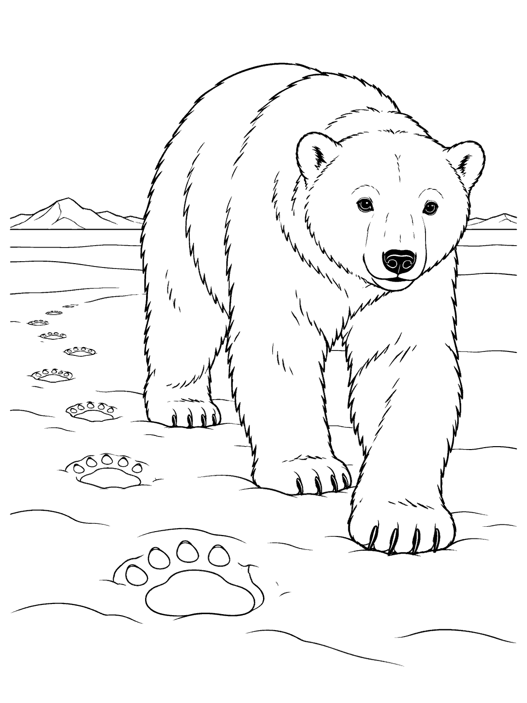 Full-body polar bear walking toward the viewer across a snowy plain, with paw prints in the foreground and distant mountains.