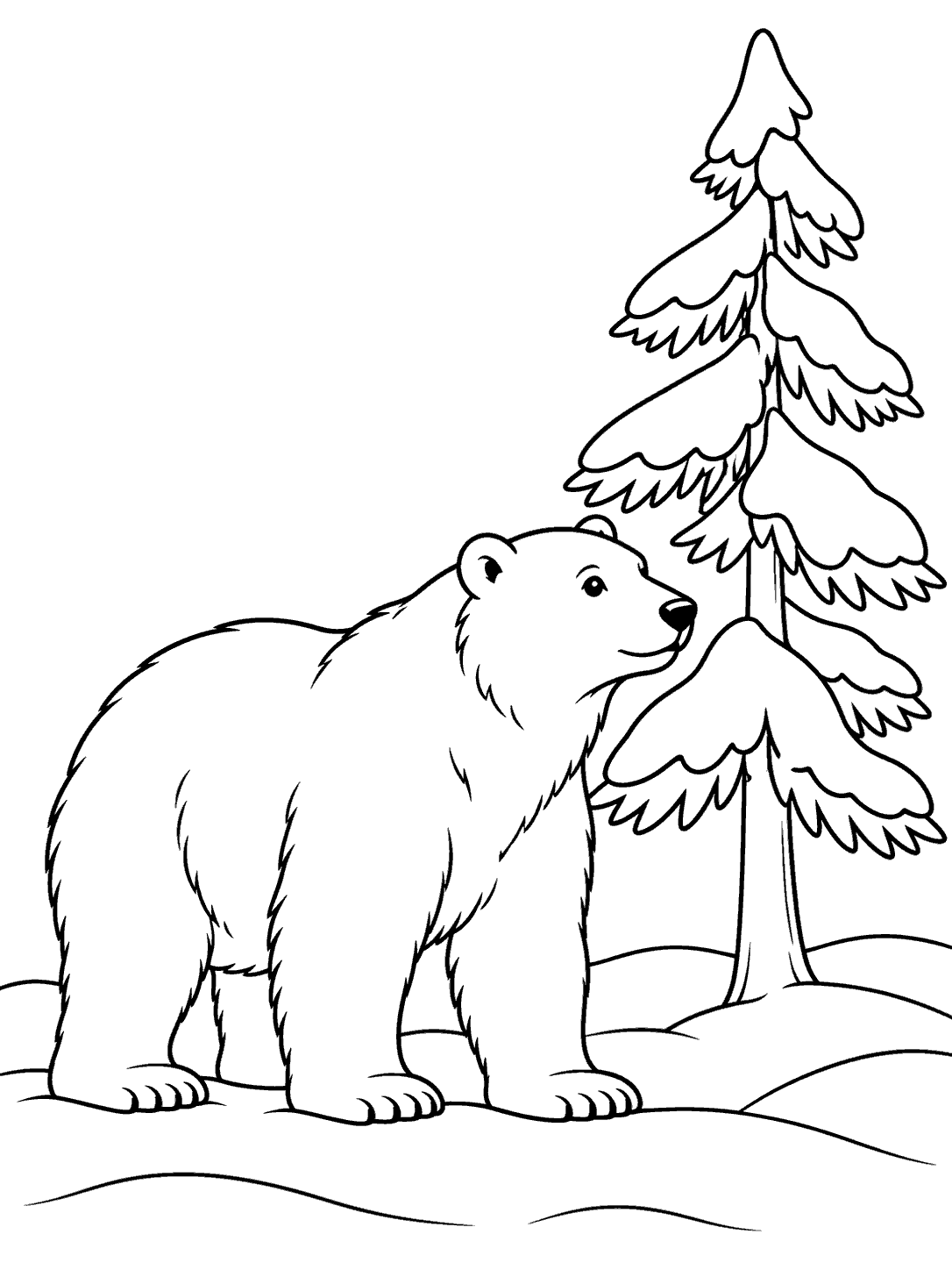 A fully visible polar bear in profile beside a tall pine with broad snow-covered branches, standing on a low snowbank.