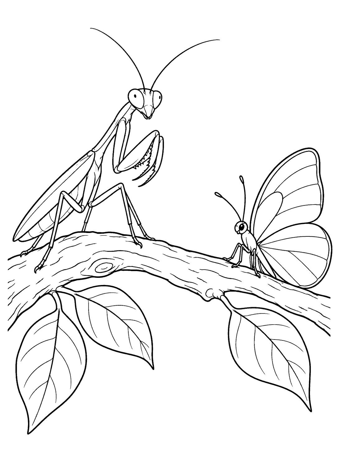 Black ink coloring page of a praying mantis and a large-winged butterfly perched at opposite ends of a branch with leaves.