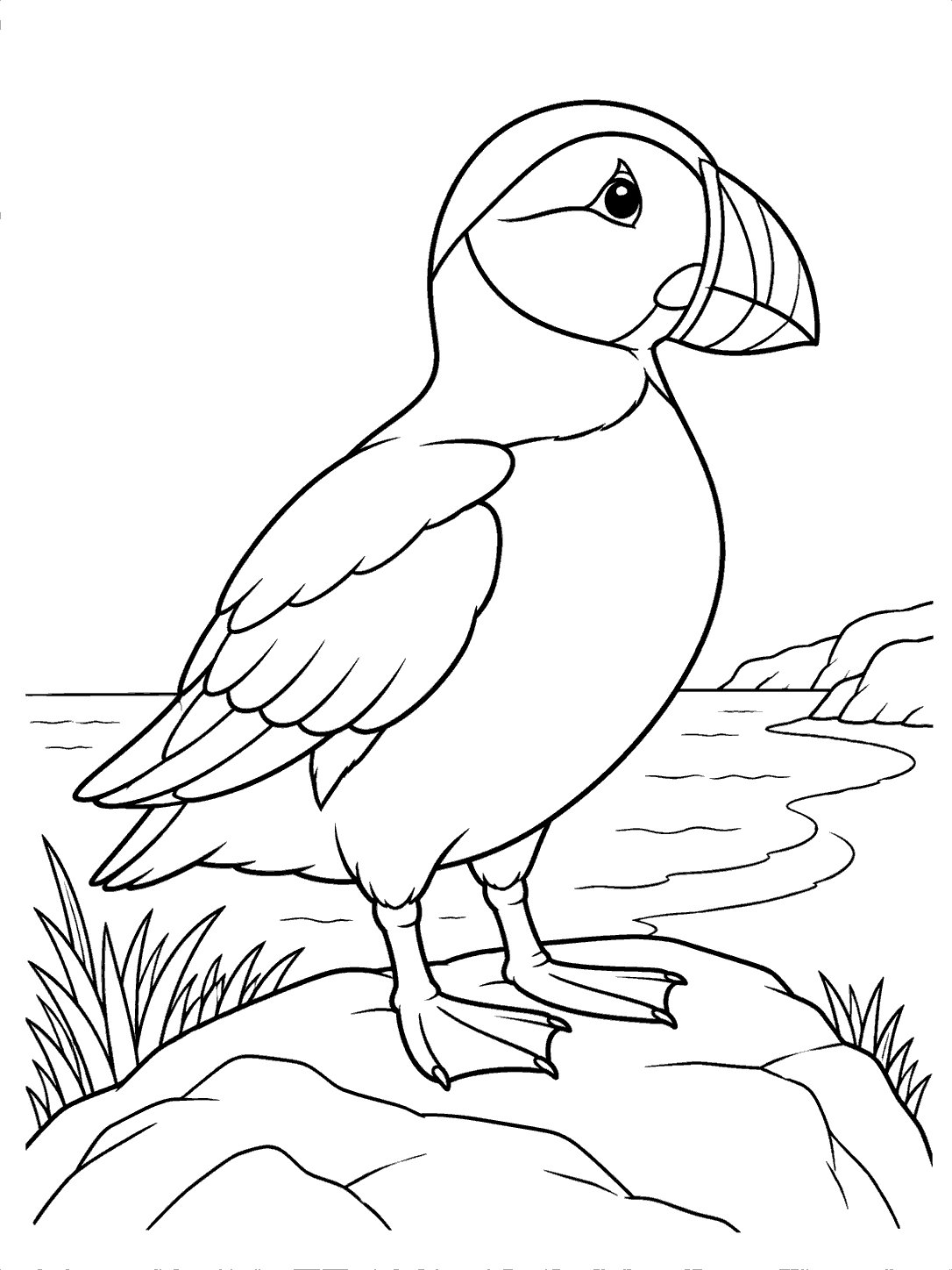 Atlantic puffin standing on a coastal rock coloring page
