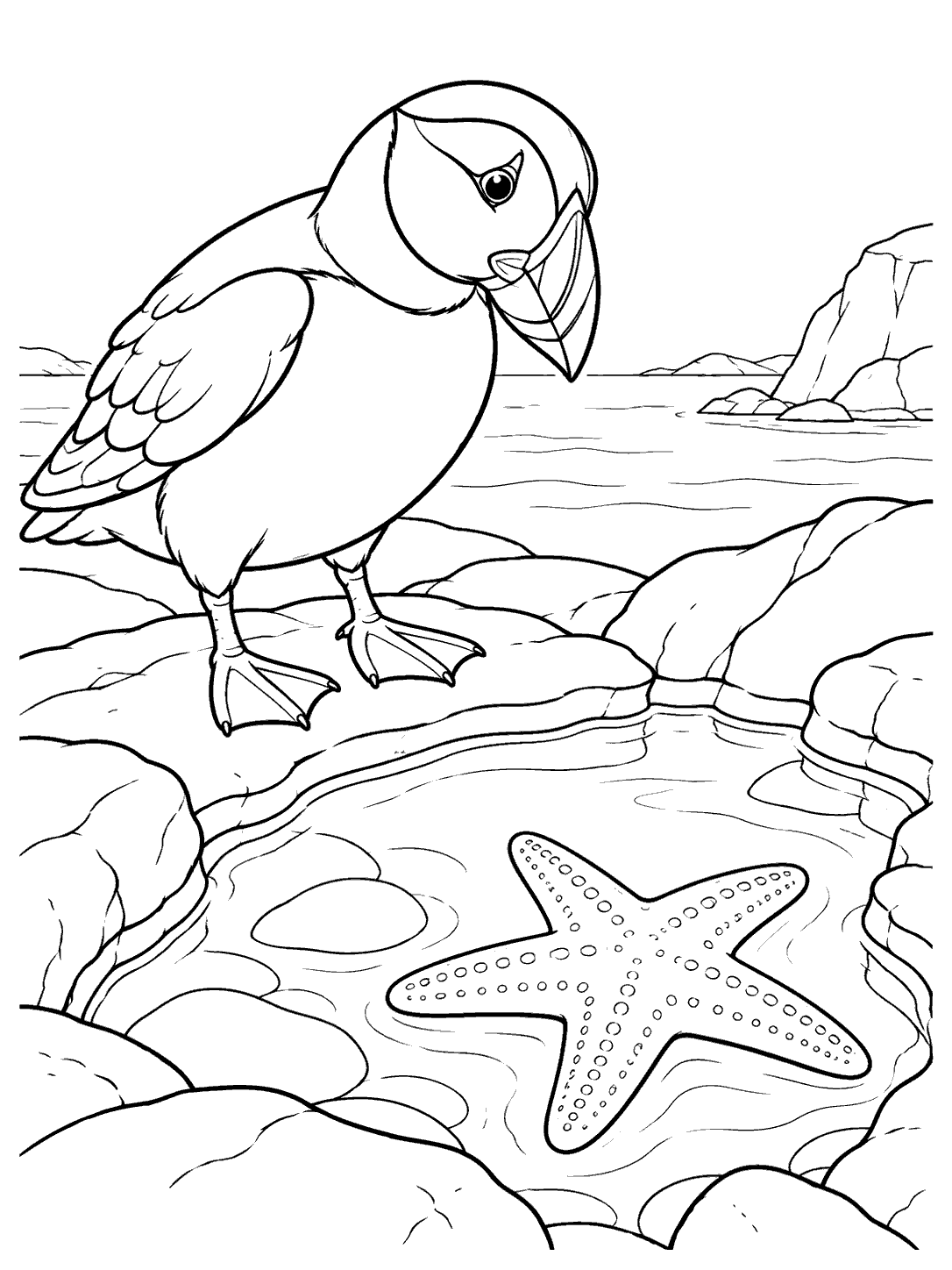 Black-and-white puffin and five-armed starfish beside a tide pool, surrounded by rocks.