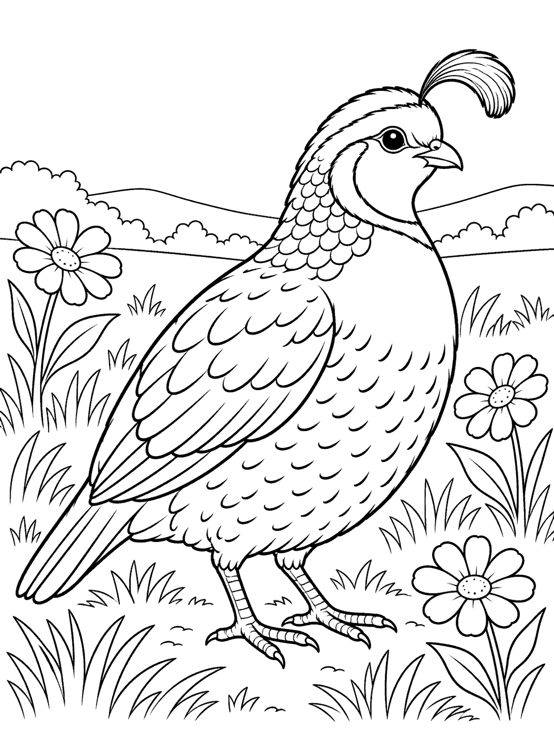 A plump, crested quail standing among three flowers and grasses in a meadow.
