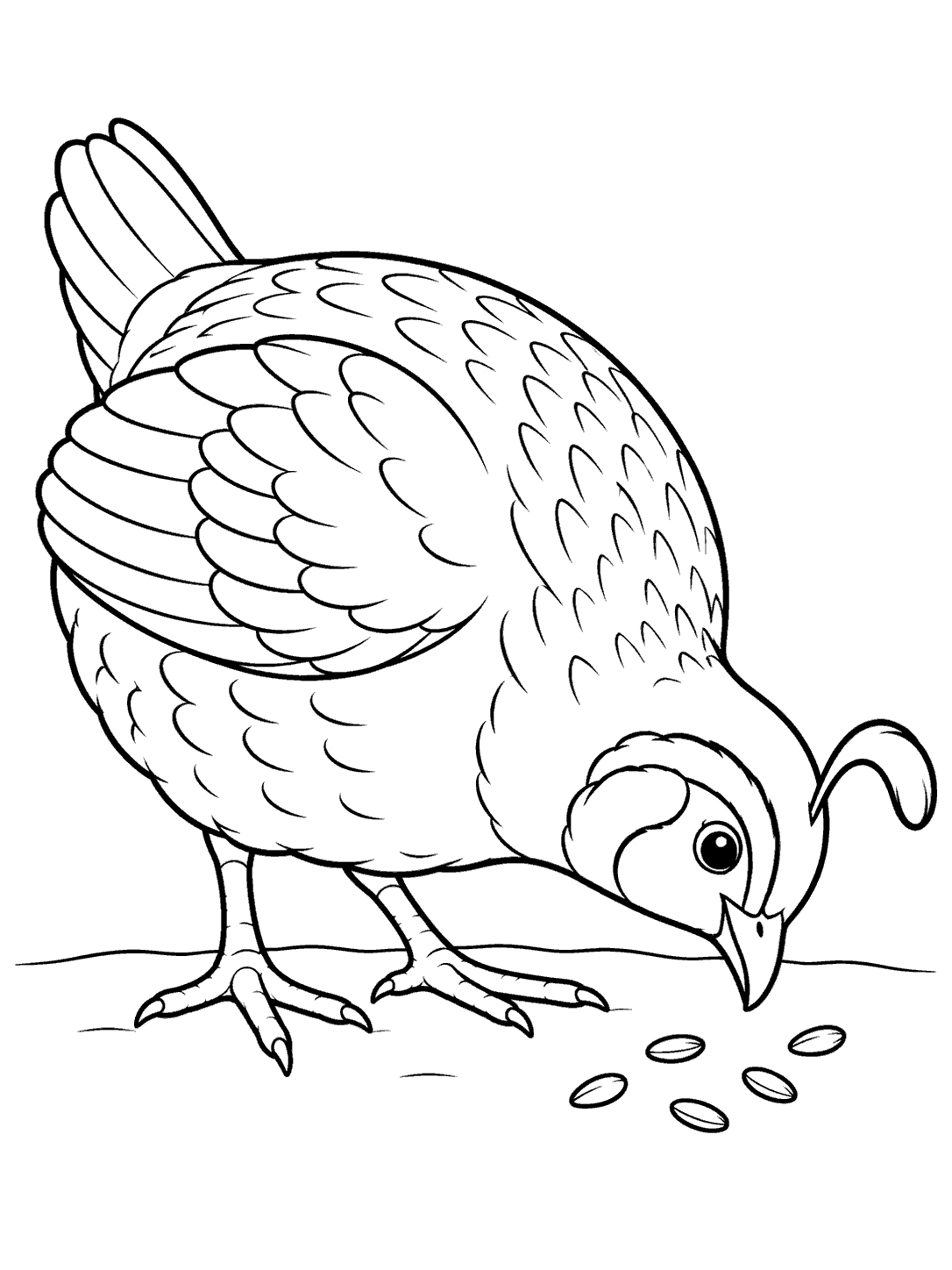 Black-outline coloring page of a rounded quail pecking at five seeds on the ground