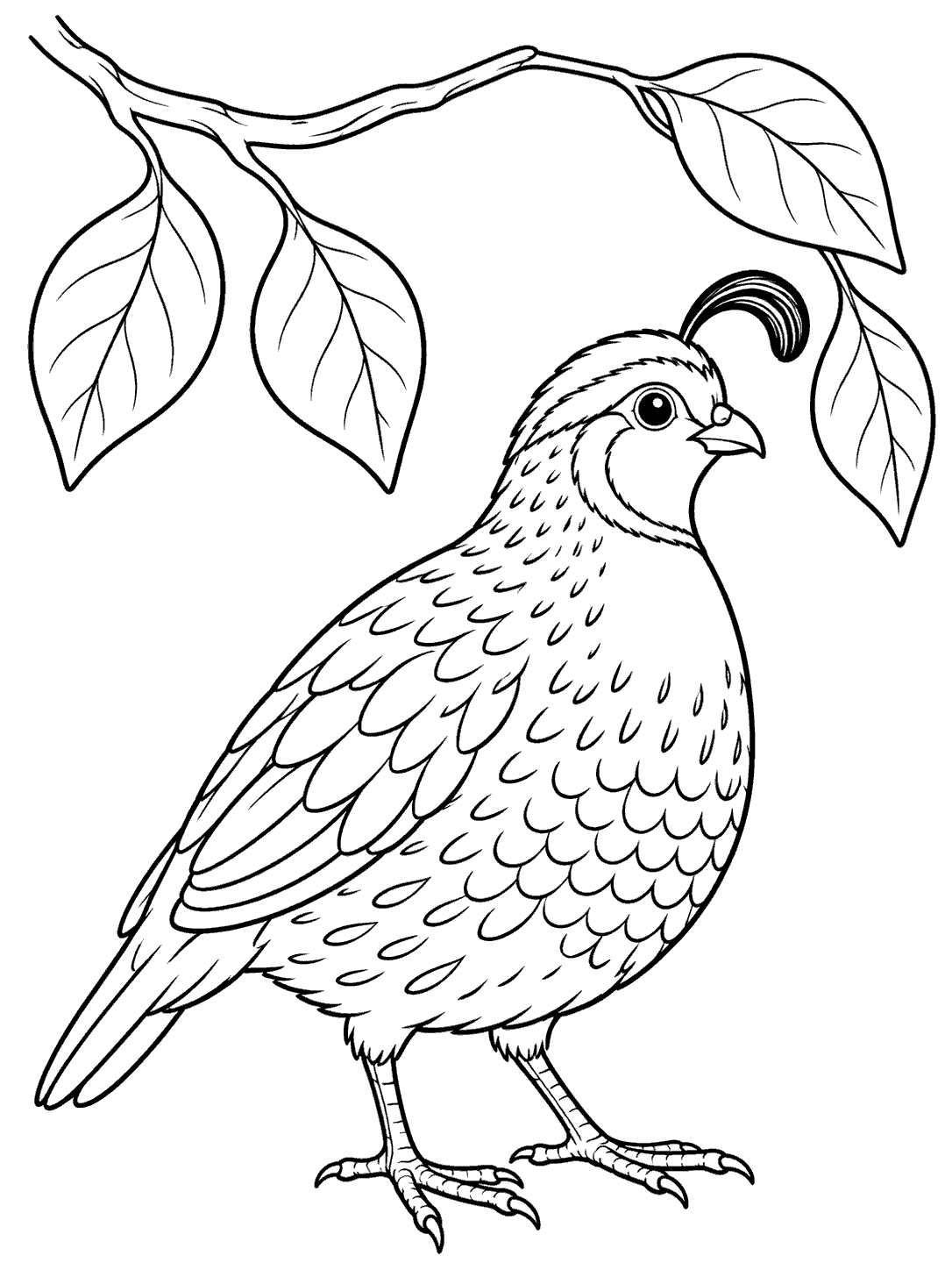 Black-outline coloring page of a detailed quail beneath a gently arched branch with four large leaves.