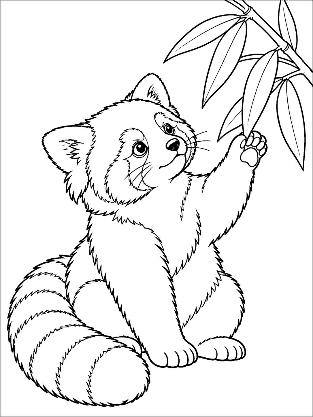 A seated red panda with a full striped tail reaches toward large bamboo leaves in a black-and-white coloring page.