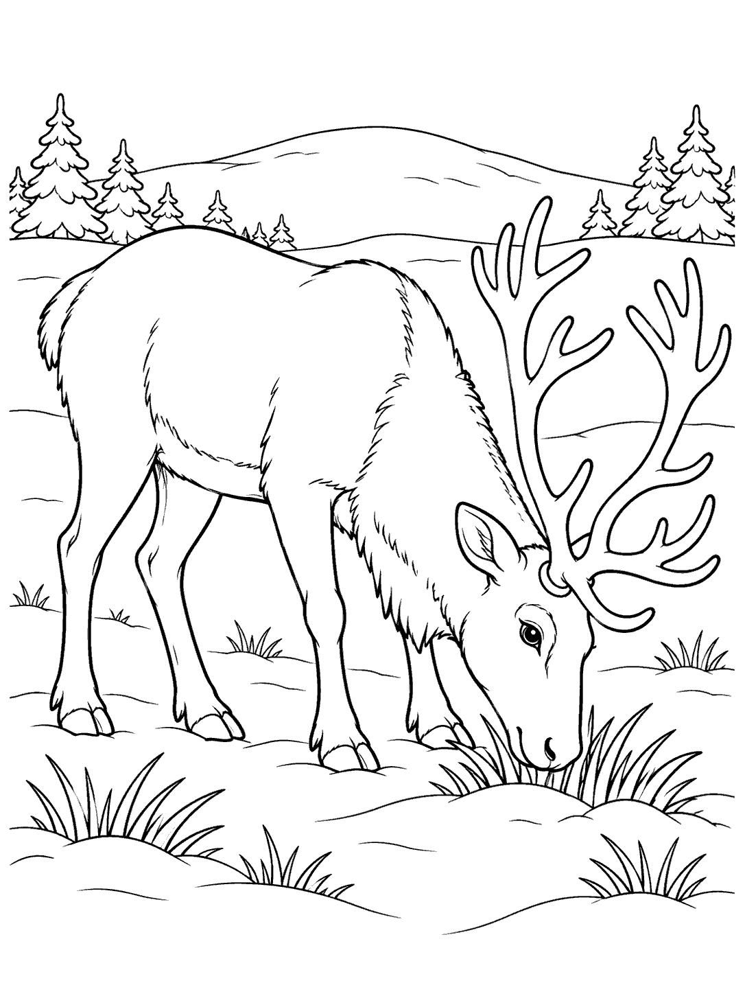 Black-outline coloring page of a reindeer grazing in a snowy meadow, with grass tufts, rounded hills, and evergreen trees.